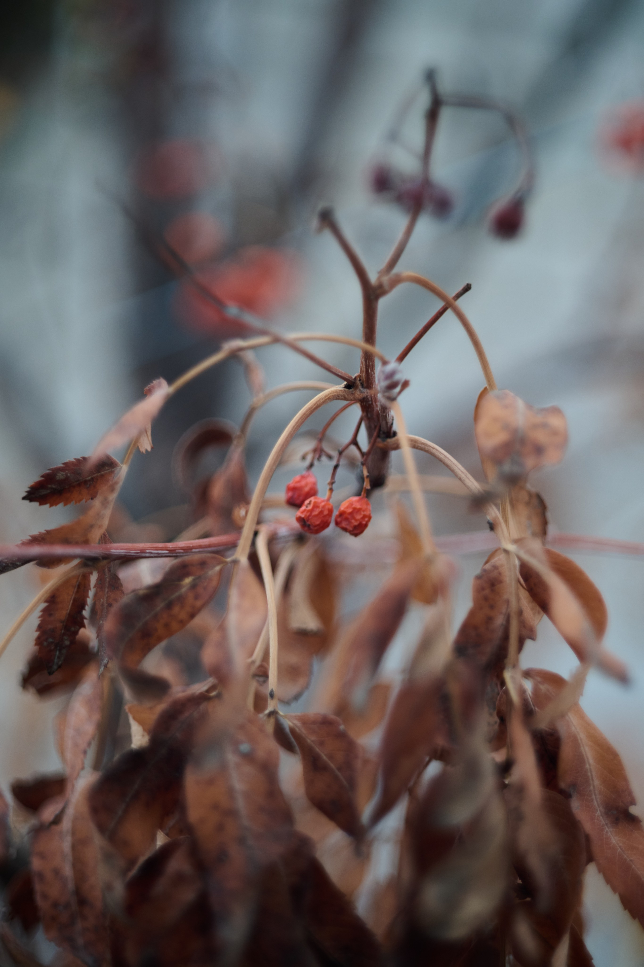 Лисичанск. Луганская область. Фотопроект «Территории»