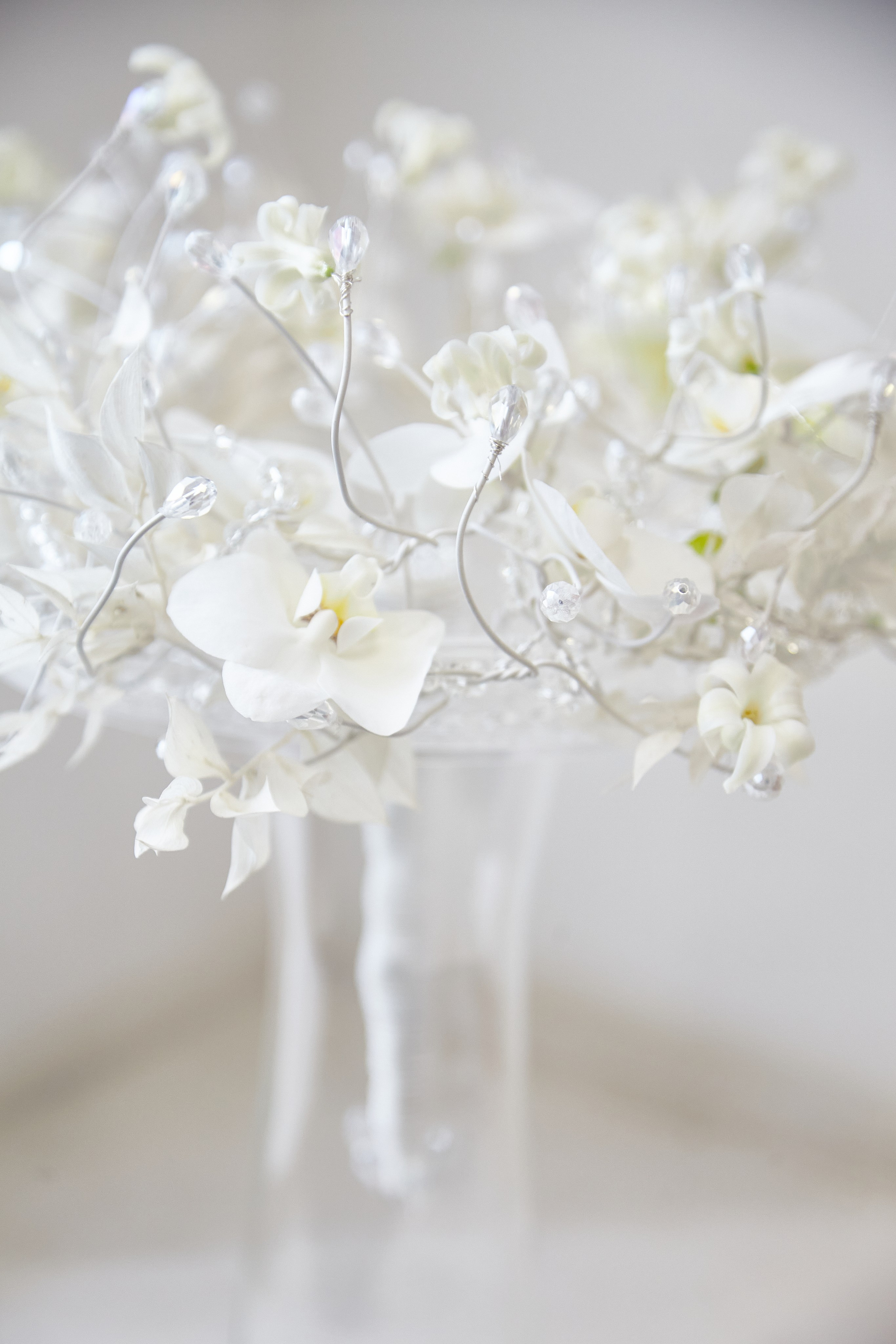 Roberto. Maria Poleshchuk, commercial photographer in Sydney