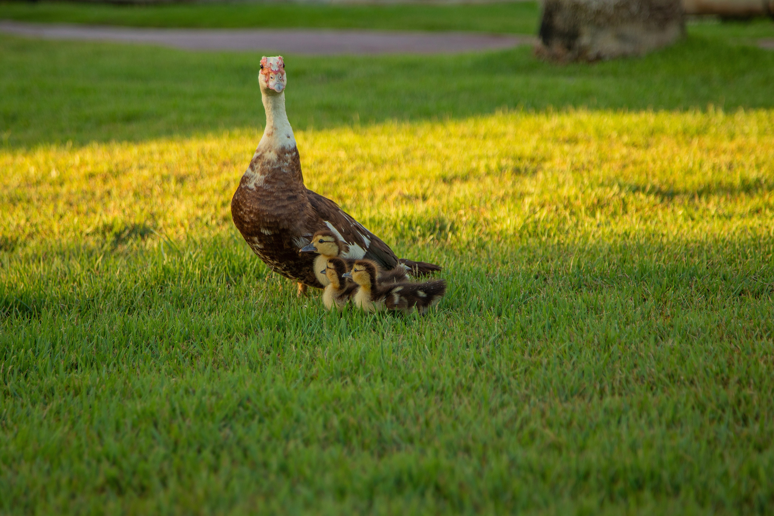 Про жизнь. Фотограф Сергей Ловкий