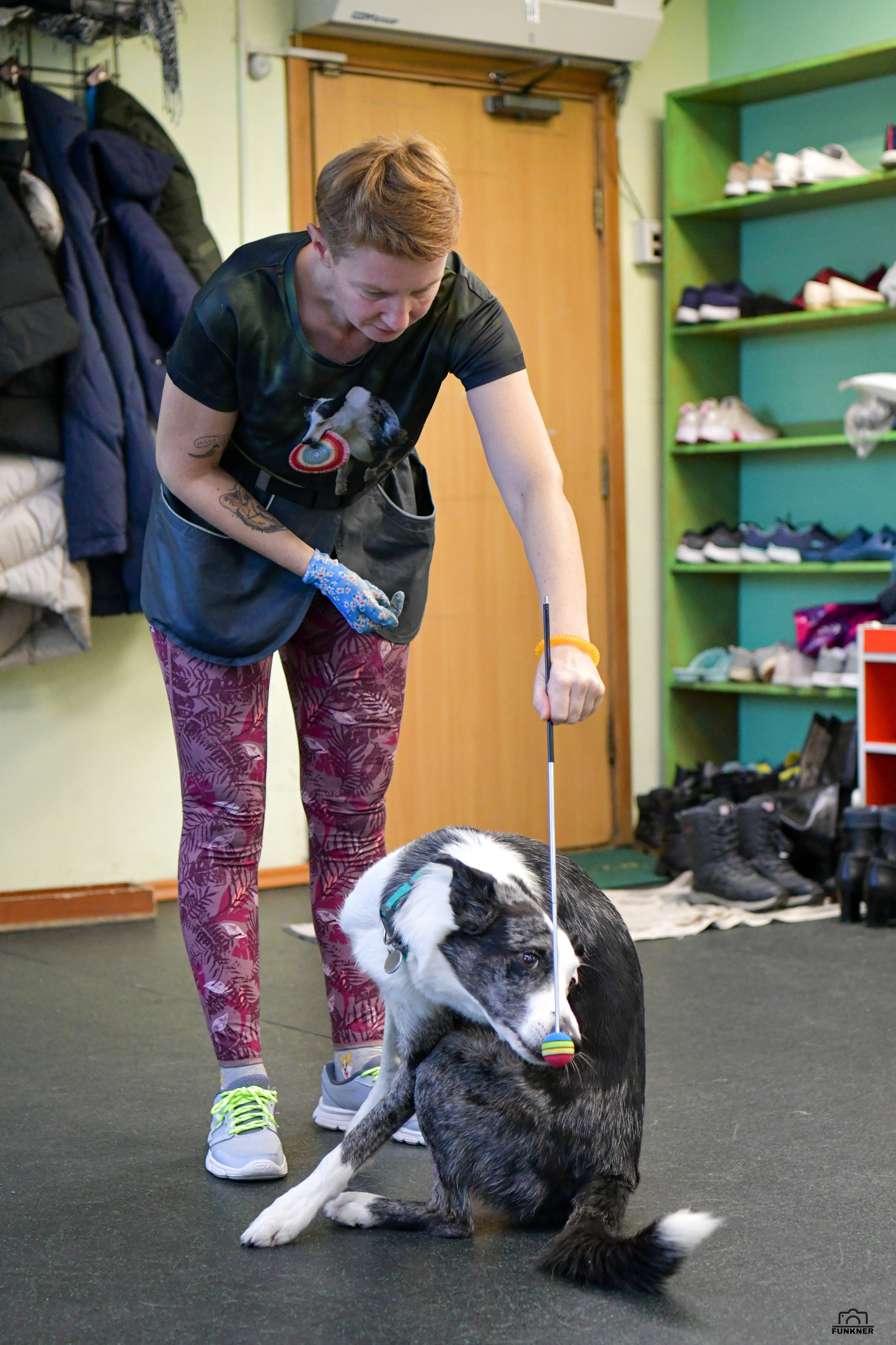 Кинологический клуб «Бодрый хвост». Свой взгляд через объектив