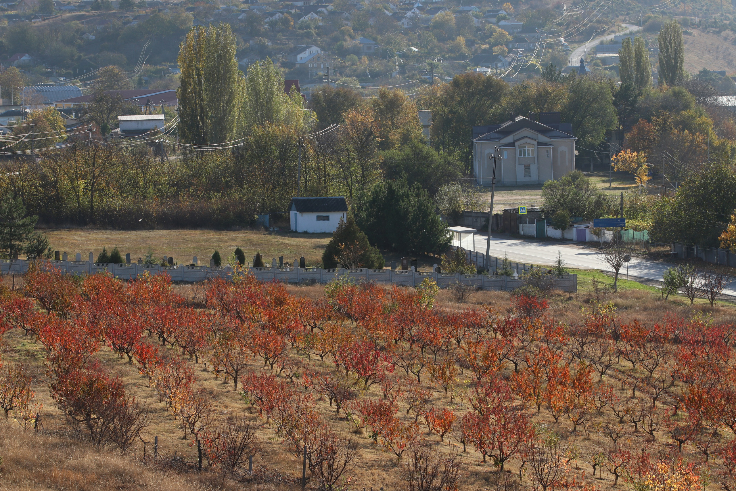 Крым. ЮБК (Гурзуф, Судак и их окрестности). Ноябрь 2023. Путешественник-фотограф из Санкт-Петербурга Татьяна Свистулина