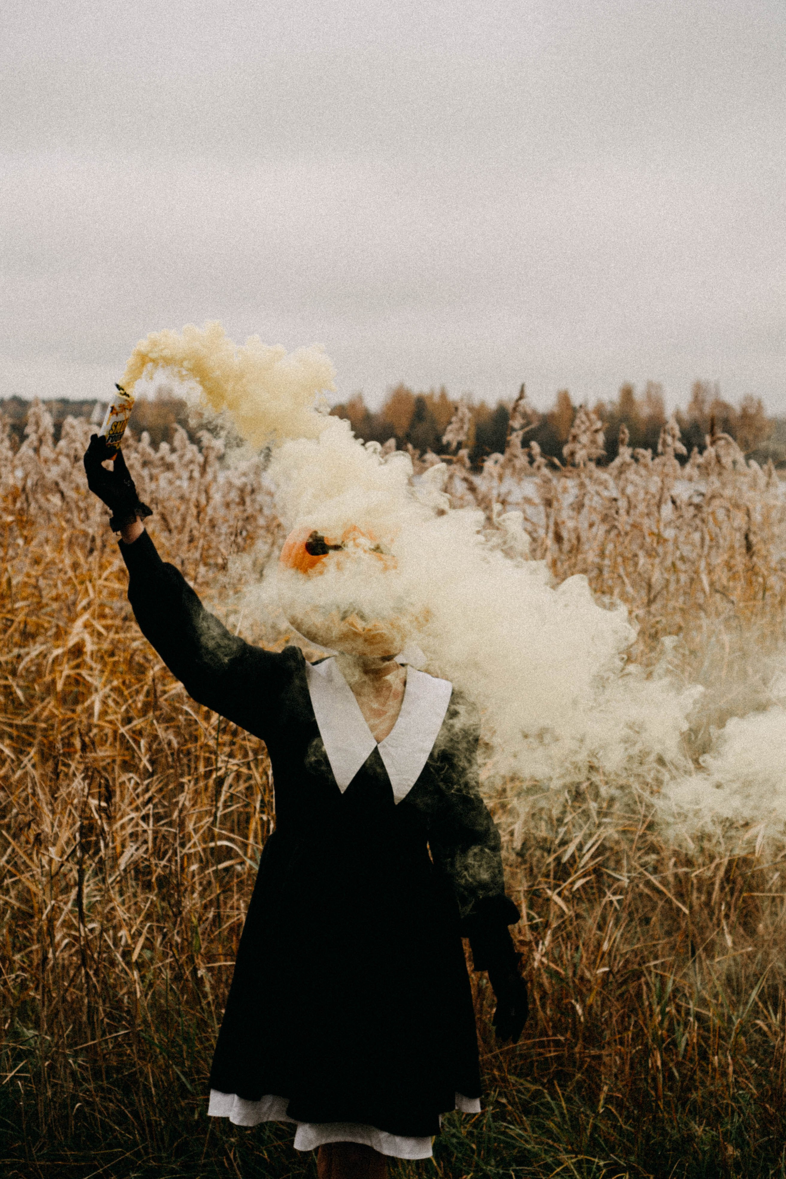 Осеняя. Профессиональный фотограф, Санкт-Петербург — Виктория Богомолова