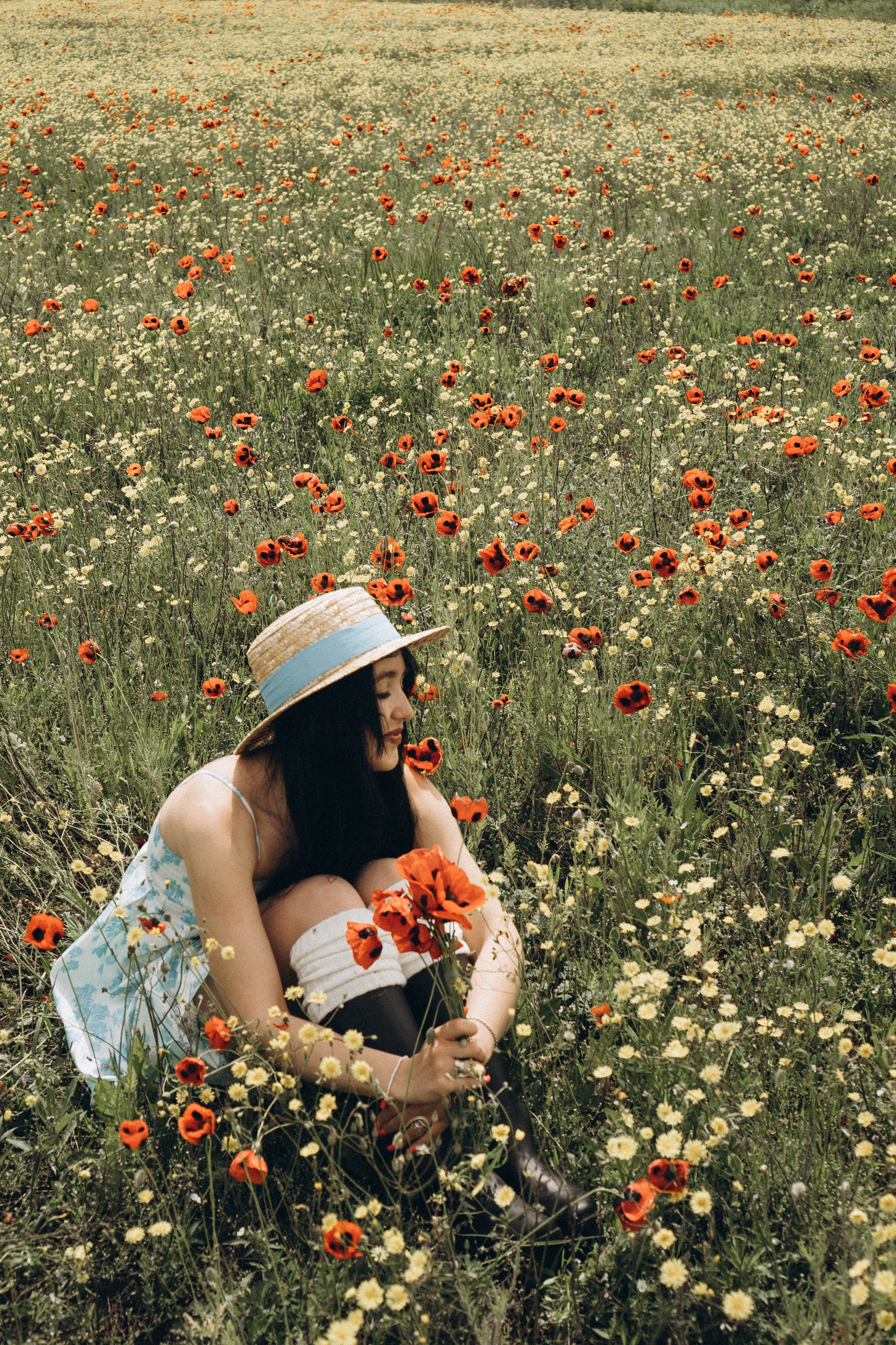 Цветочная поляна. Профессиональный фотограф, Санкт-Петербург — Виктория Богомолова