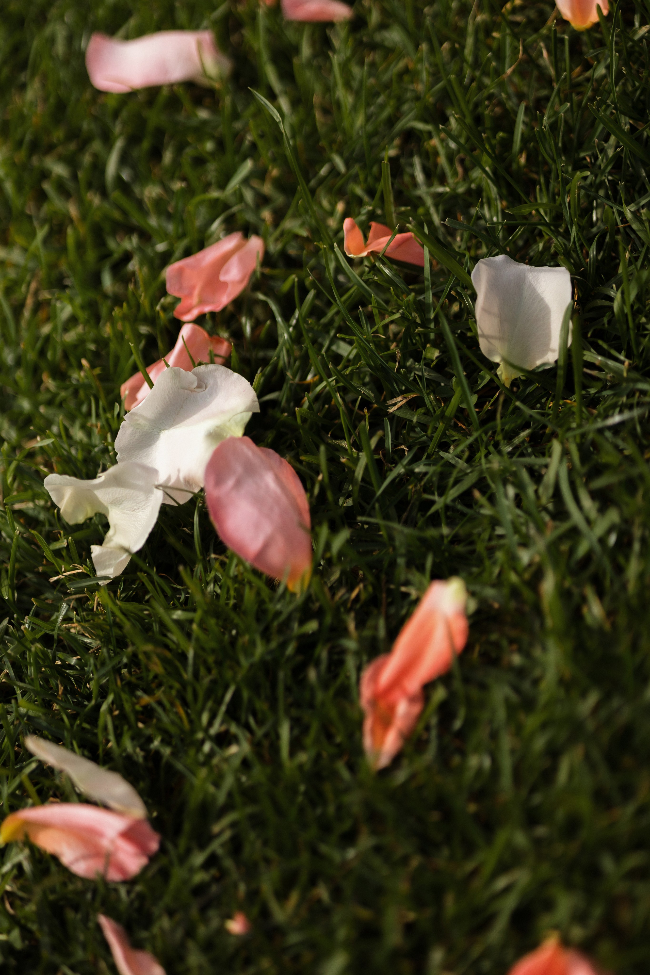 S&E. Свадебный фотограф Лиза Макатович Беларусь Минск