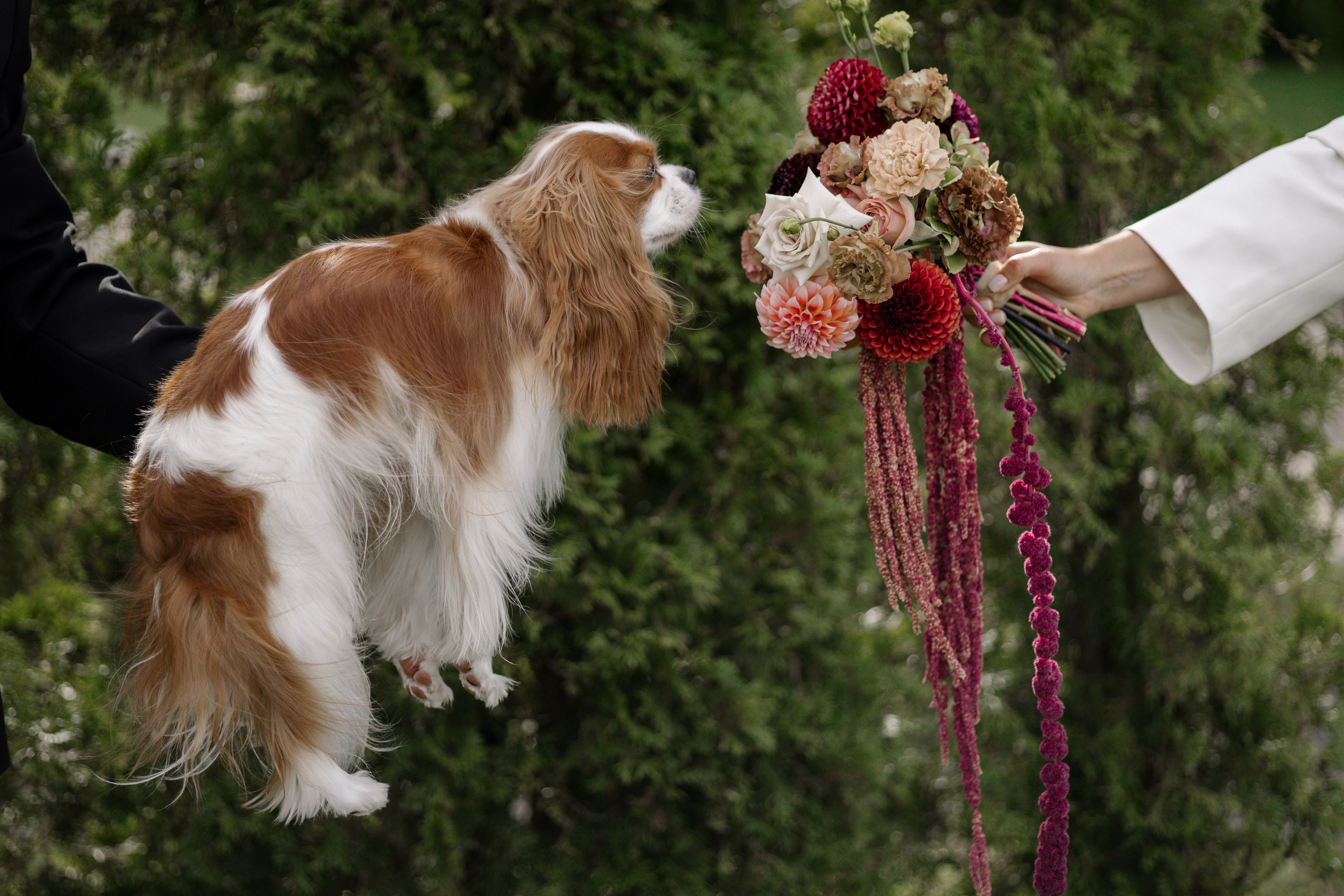 K&A. Свадебный фотограф Лиза Макатович Беларусь Минск