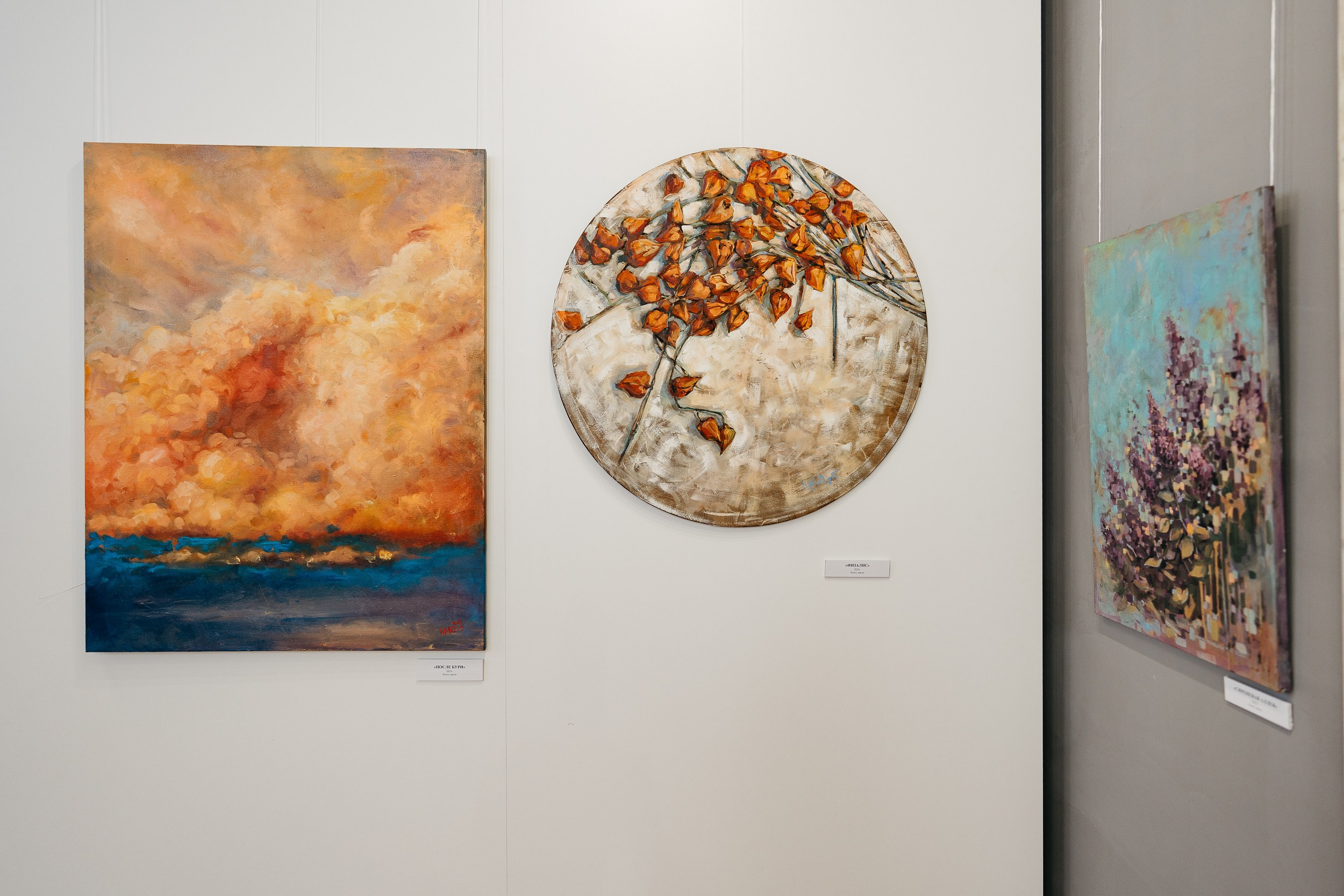 Открытие персональной выставки художника Марии Кулиной-Черкашиной «Возвращение в детство (пойдём, что покажу…)». Свадебный и репортажный фотограф Юров Дмитрий