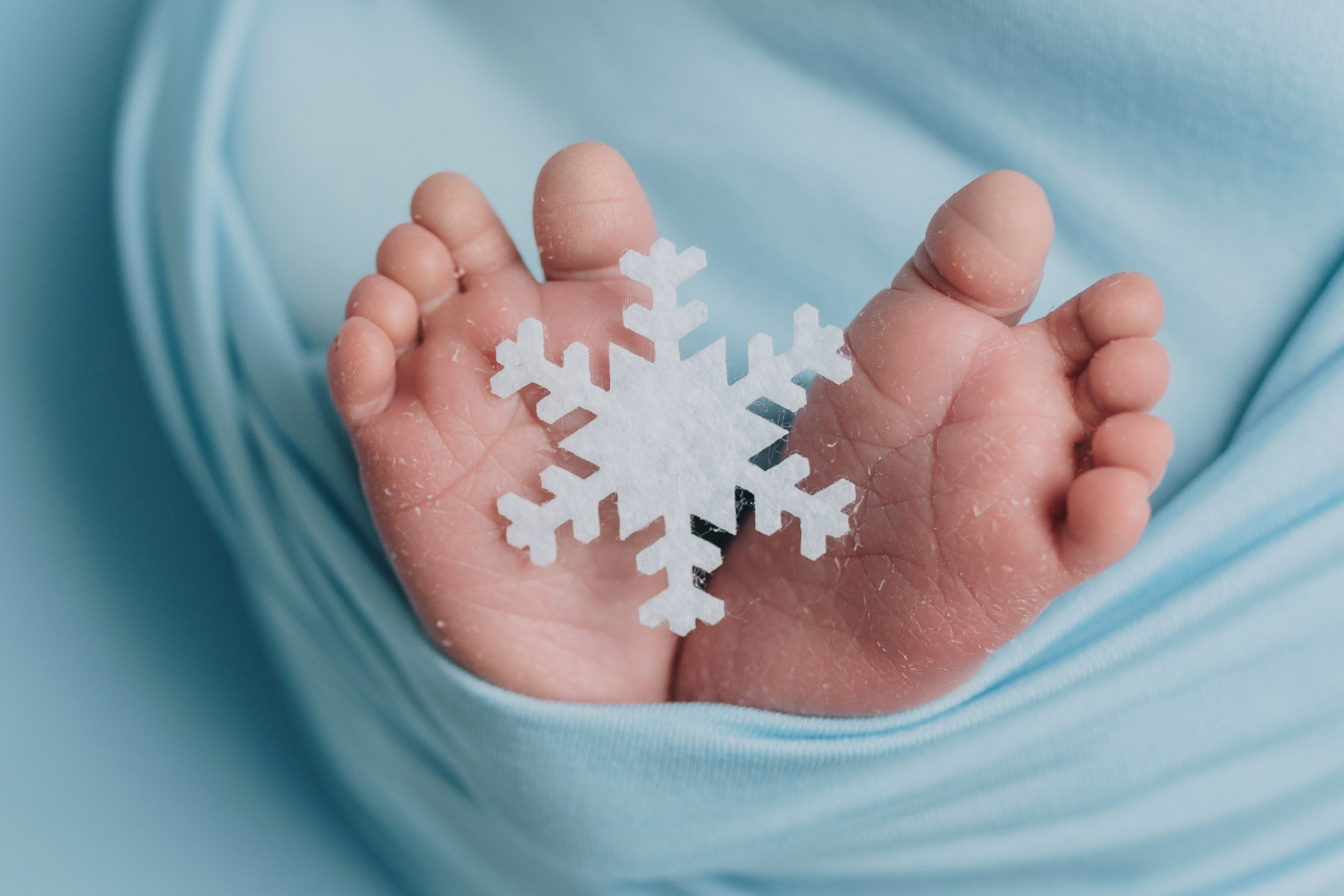 Alex. Natalia Finch Photography — Family, Kids & Pet Photographer in Chicago, IL