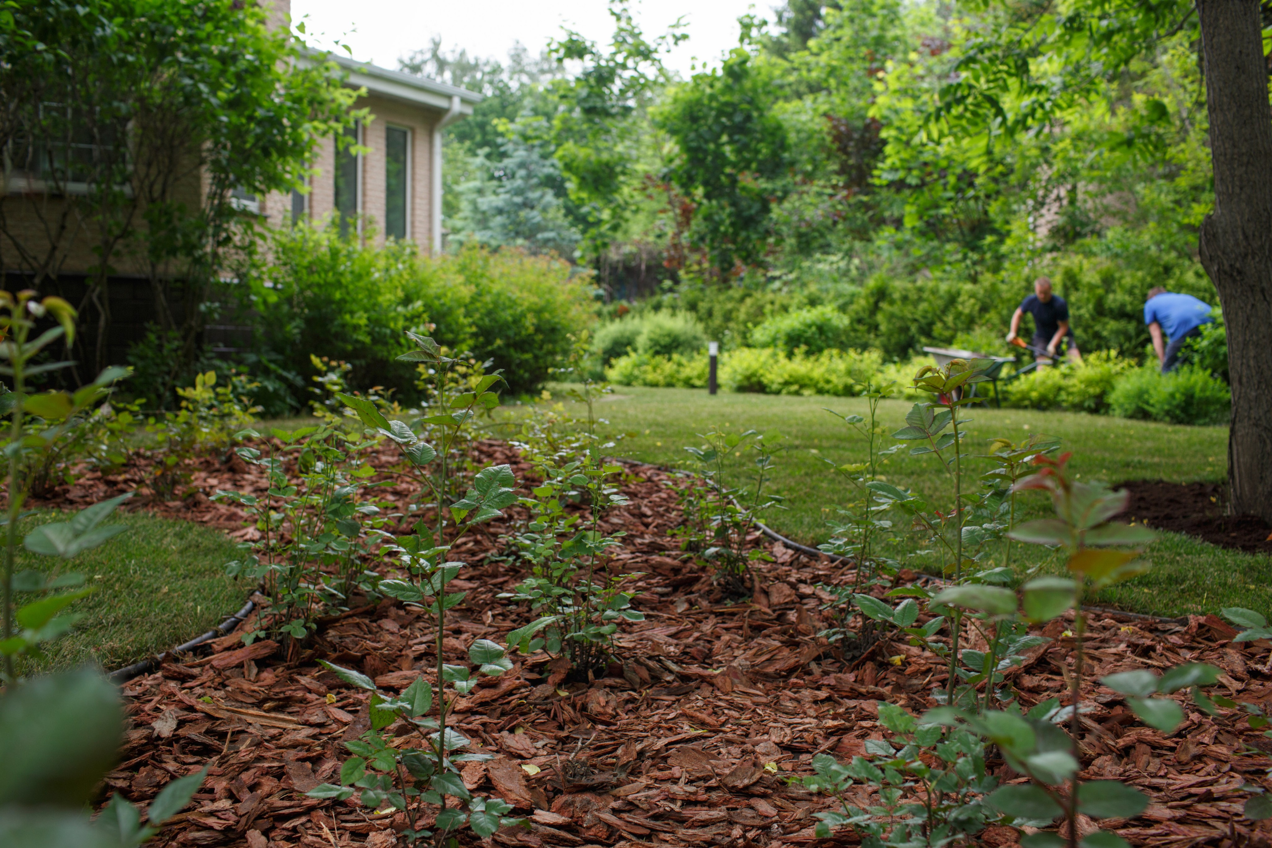 Ландшафтный дизайн. Фотограф Наталья Молчанова