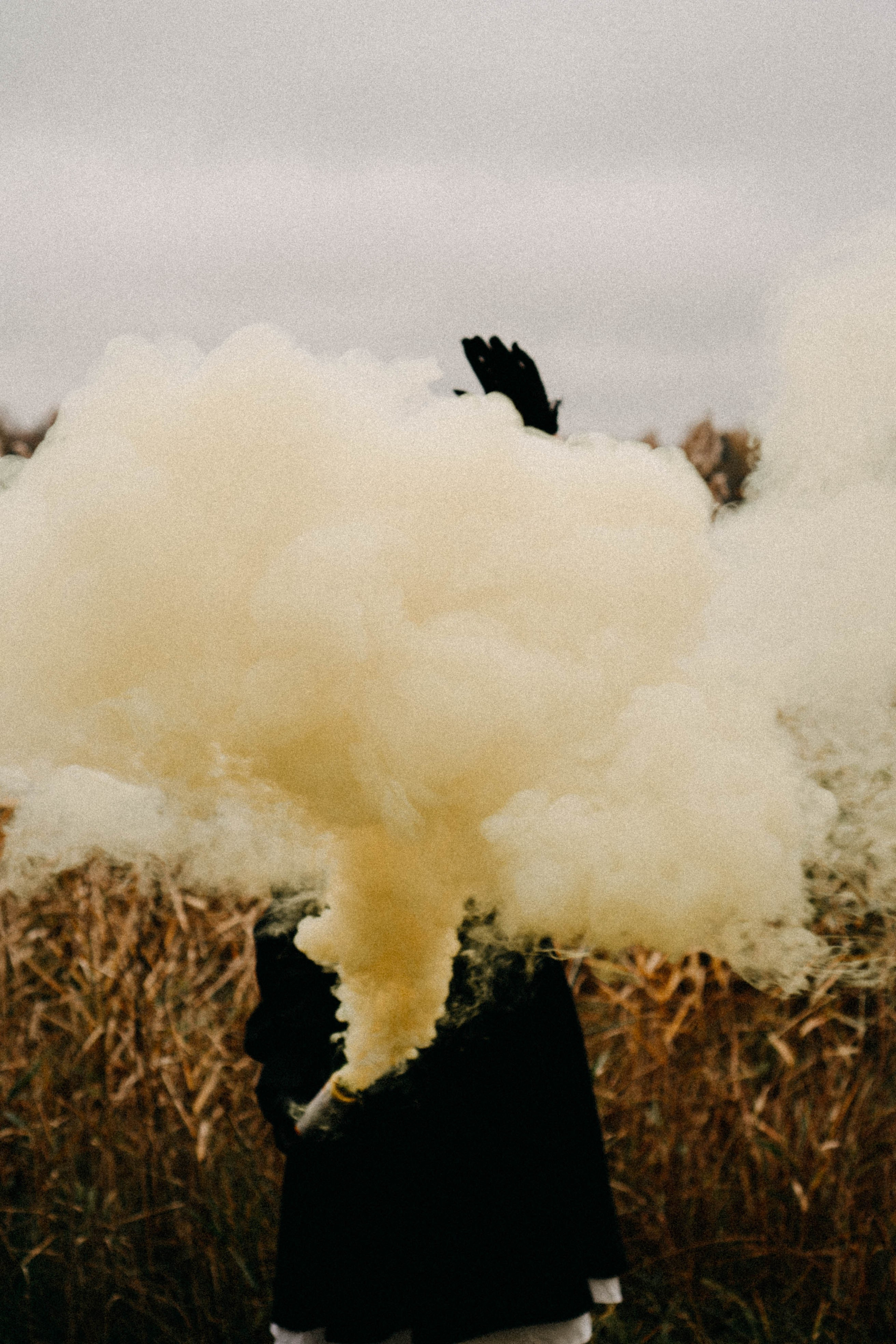 Осеняя. Профессиональный фотограф, Санкт-Петербург — Виктория Богомолова