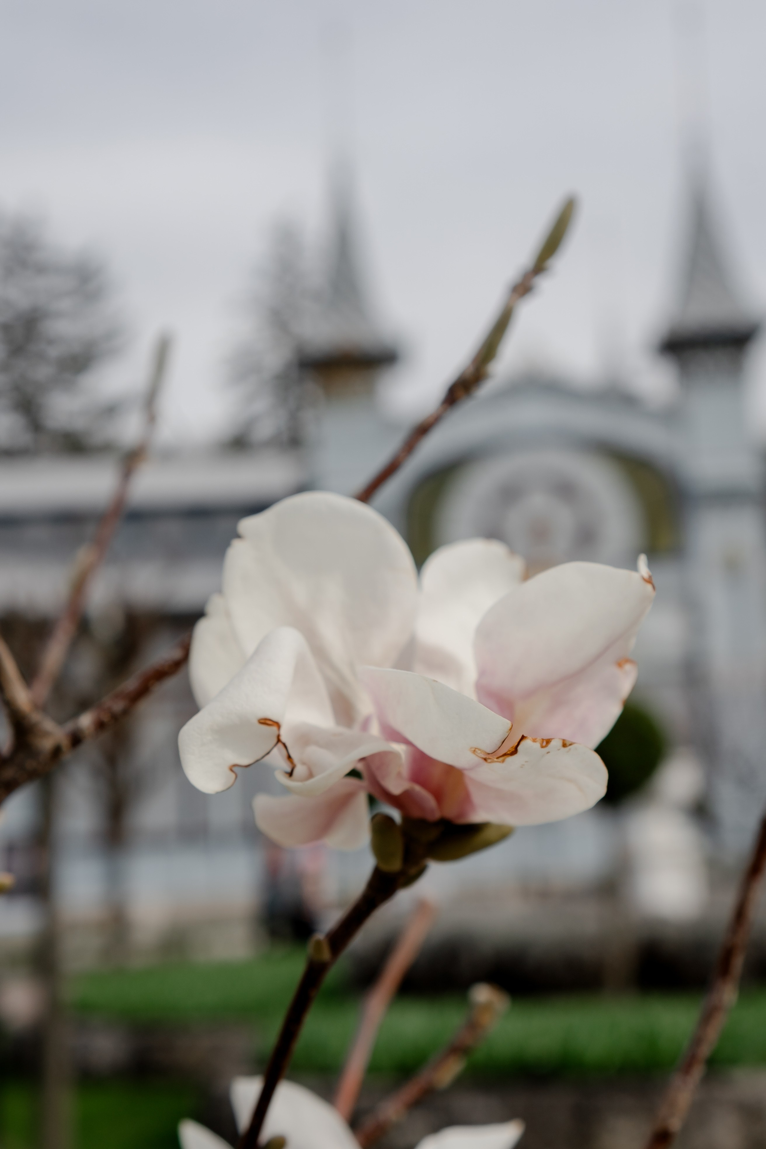 ПЯТИГОРСК. Профессиональный фотограф, Санкт-Петербург — Виктория Богомолова