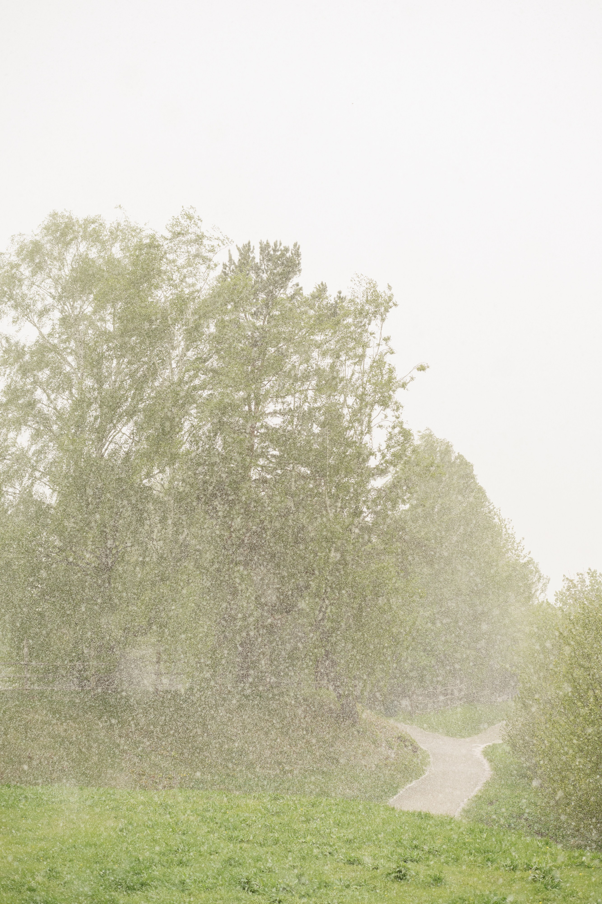 Школа счастья Ильи Даньшина. Лиза Фирстова — самый добрый фотограф