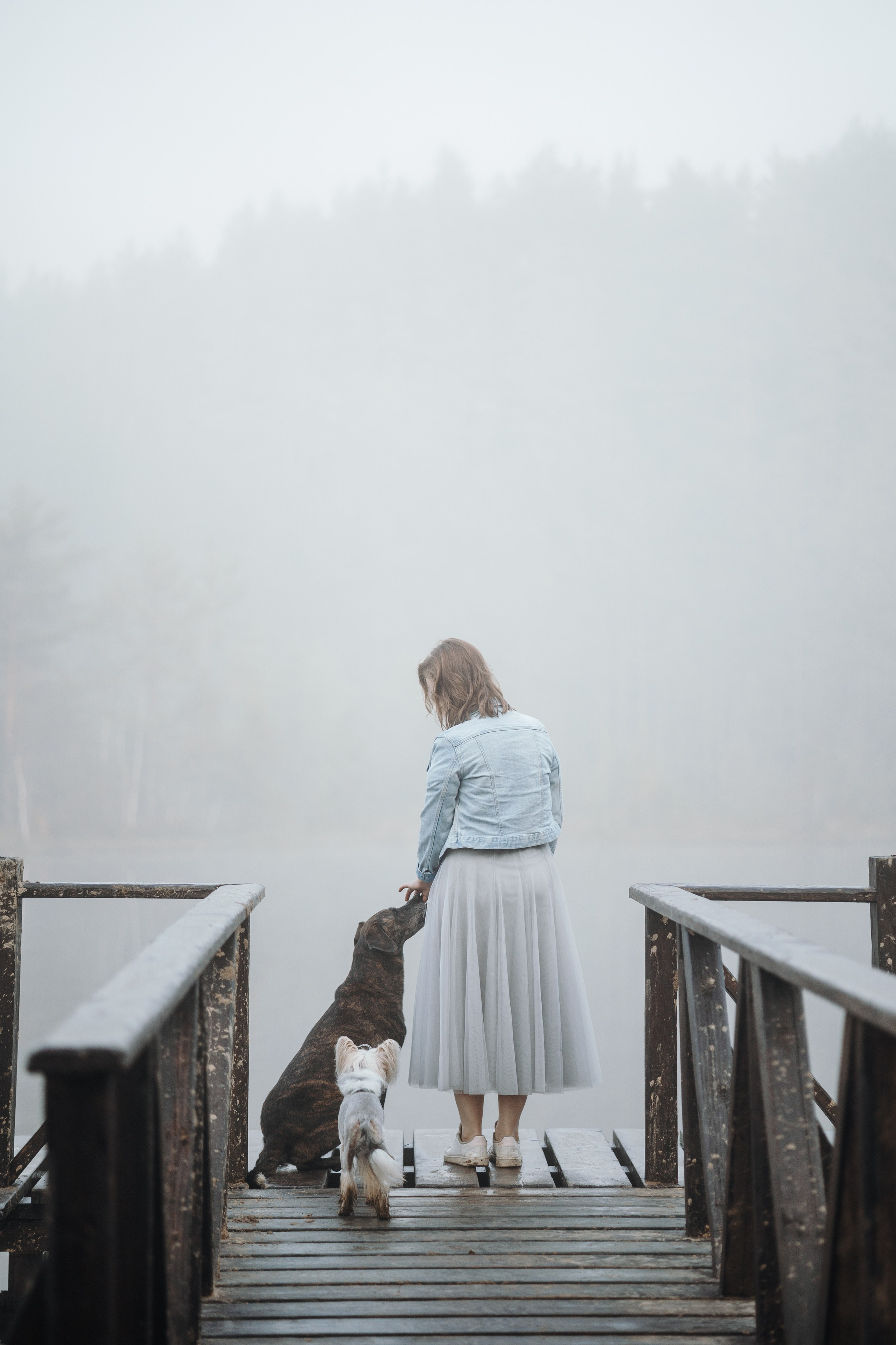 Любовь и ее хвостики. Фотограф — Анималист | Санкт-Петербург