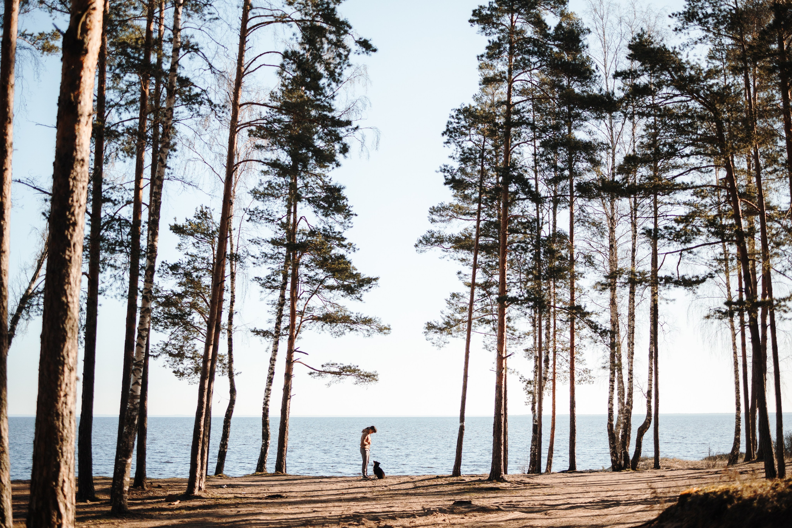 Ира и Шмель. Фотограф — Анималист | Санкт-Петербург