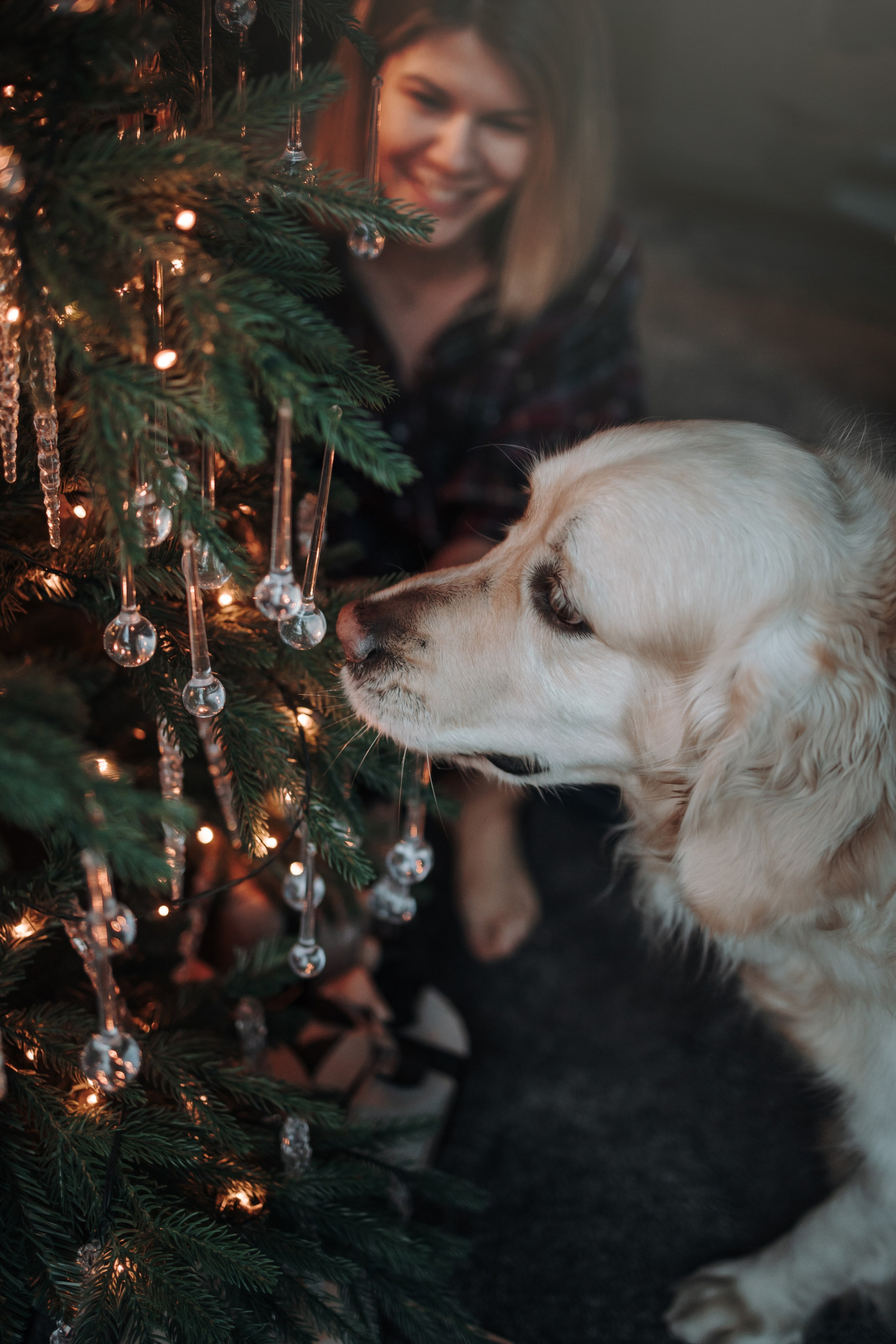 Вика и Рози. Фотограф — Анималист | Санкт-Петербург