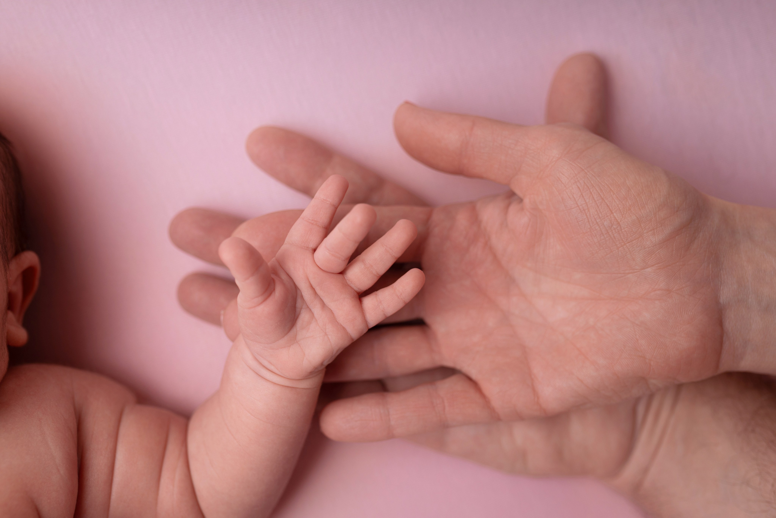 Newborn девочки. Фотограф новорожденных Модяева Ирина