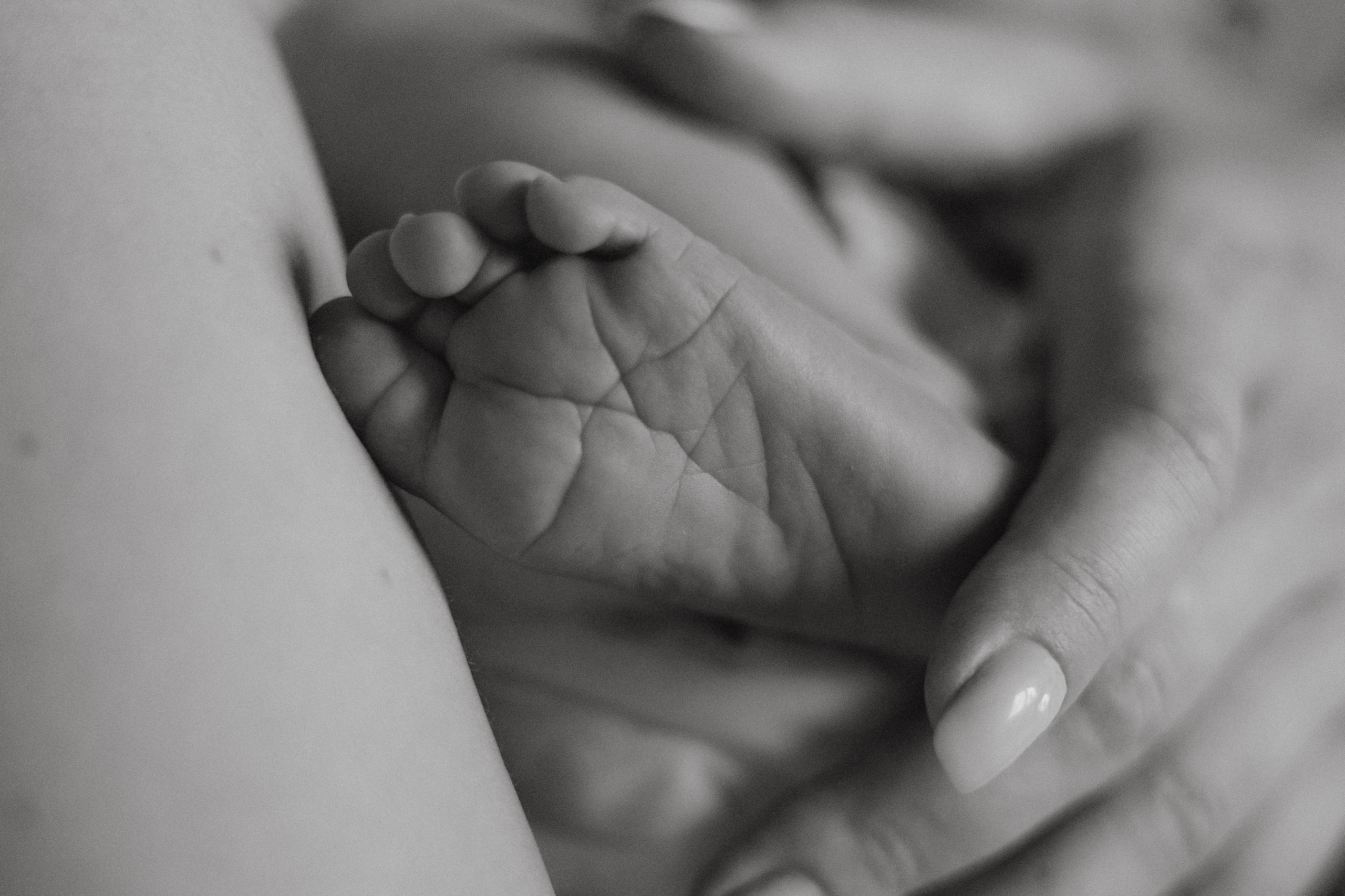 Крошка Михаил. Семейный фотограф в Москве Анастасия Марти