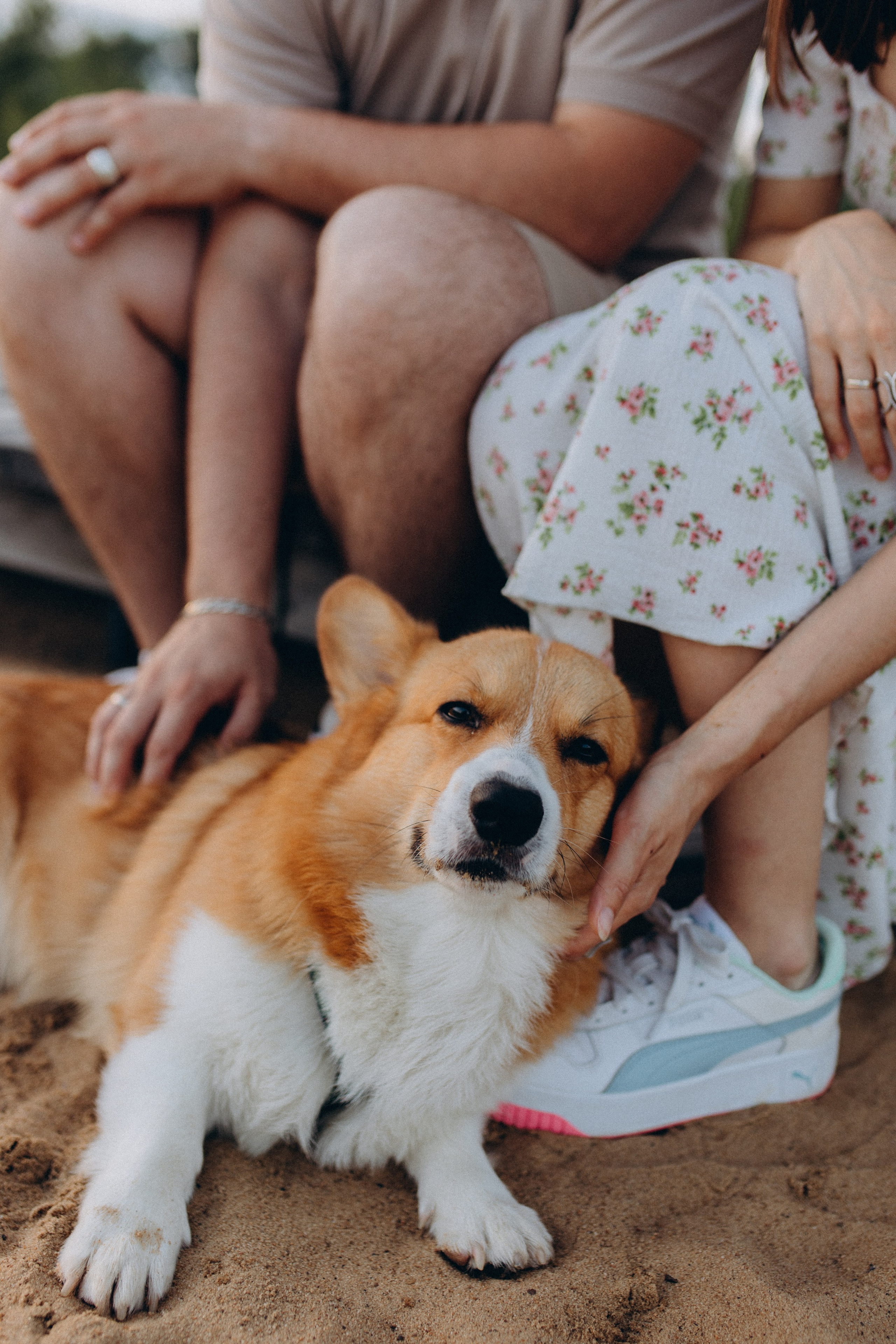 Эля, Денис и Сэми. Фотограф в Нижнем Новгороде Лебедева Елена