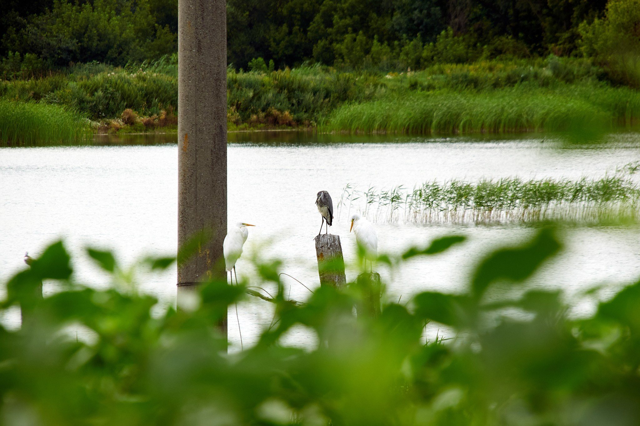 Заповедные уголки Земли: обитатели дикой природы. Координаты красоты — география в фокусе