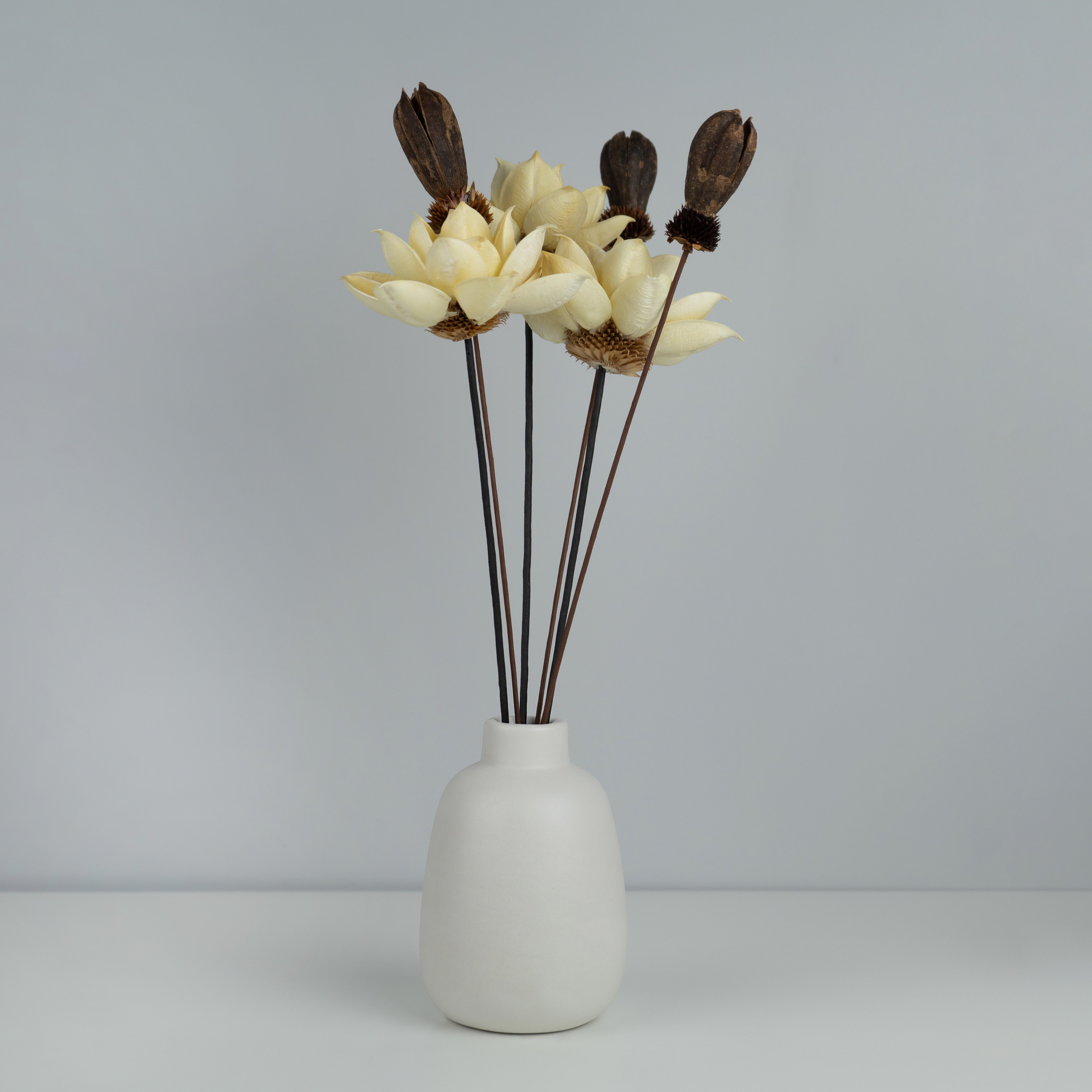 Ваза. Концептуальный фотограф Шлыкова Ольга