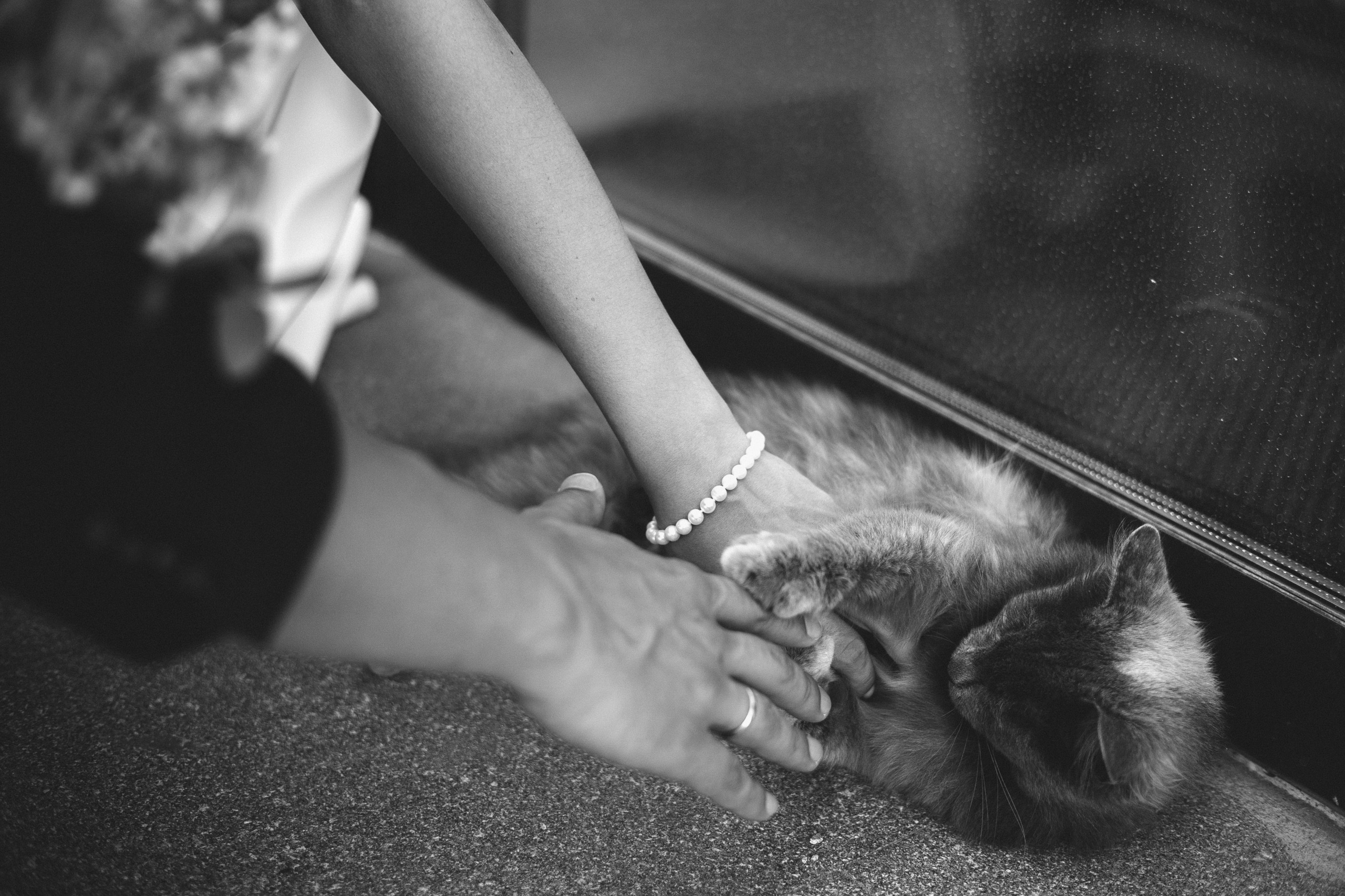 Никита и Руфина. Свадебный и семейный фотограф в городах Уфа и Стерлитамак