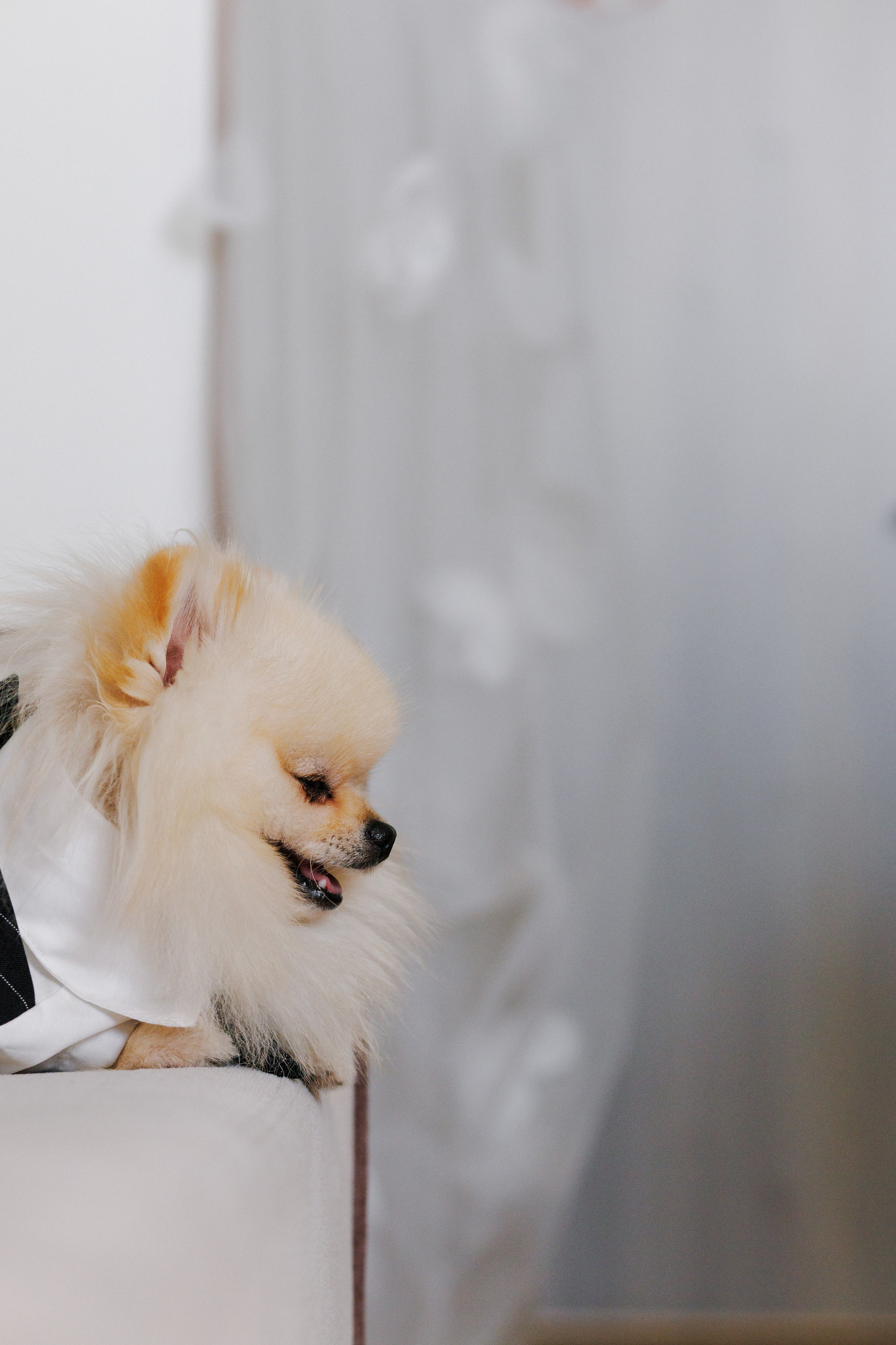 Мое портфолио за 2025 год. Свадебный фотограф СПБ