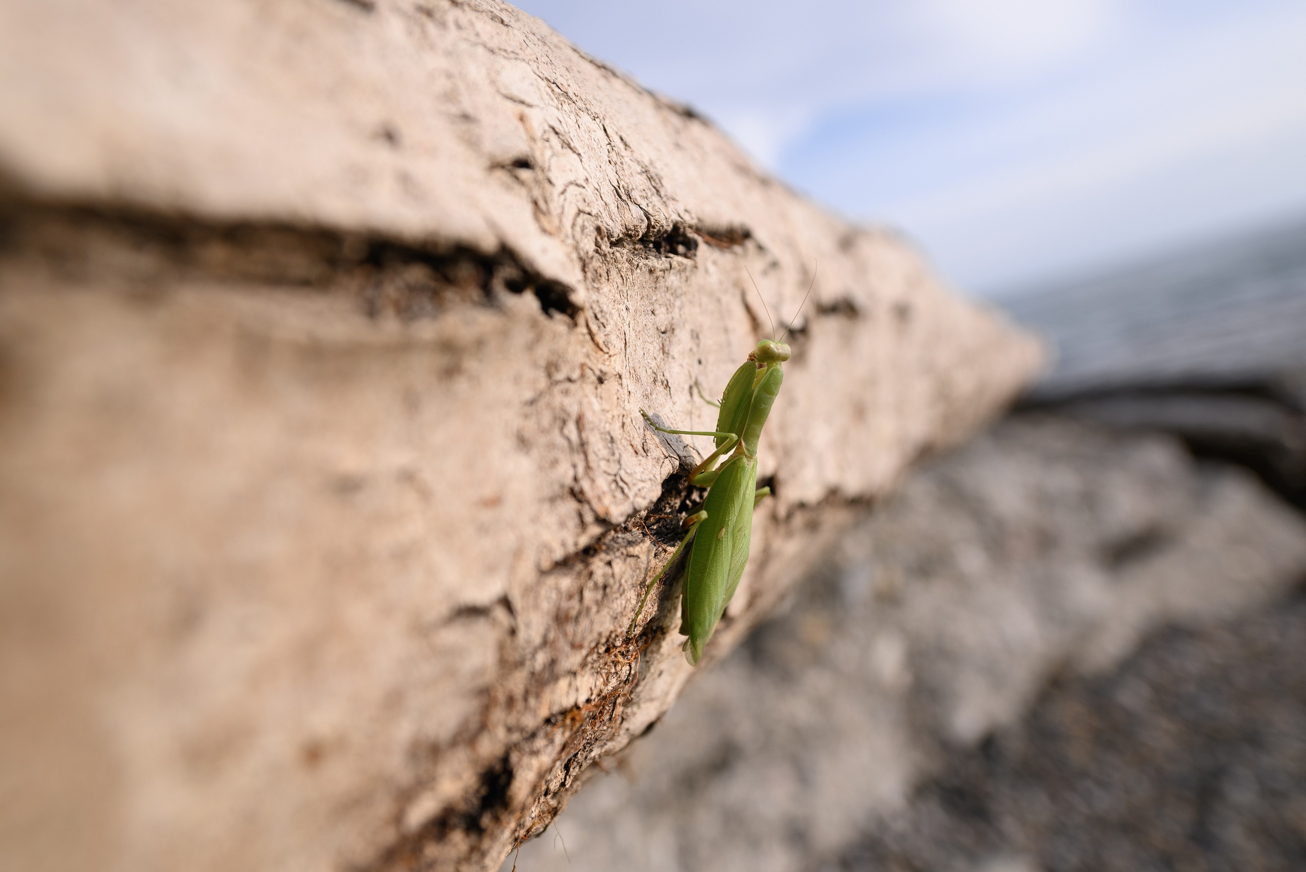 Фотограф в Сочи на пляже у моря предлагает романтические Love Story съемки, которые отразят вашу любовь и гармонию