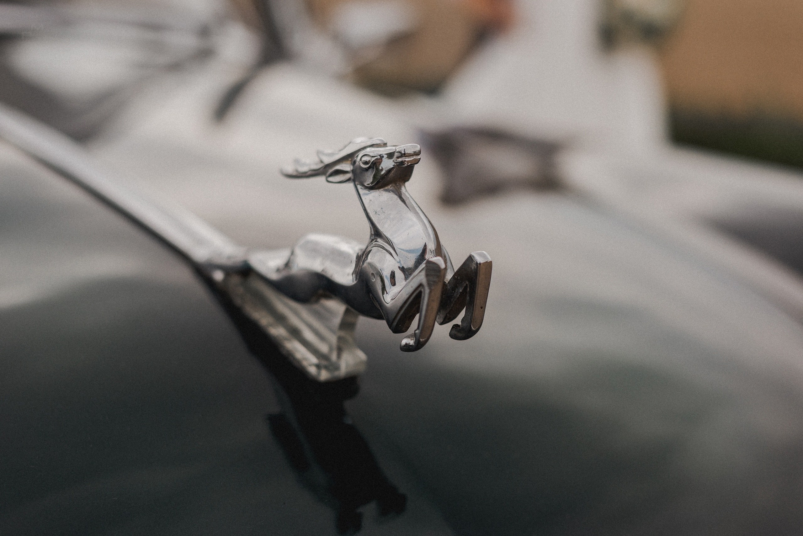 Serg + Anna. Фотограф/видеомейкер в Минске, Москве, Витебске, видеосьемка