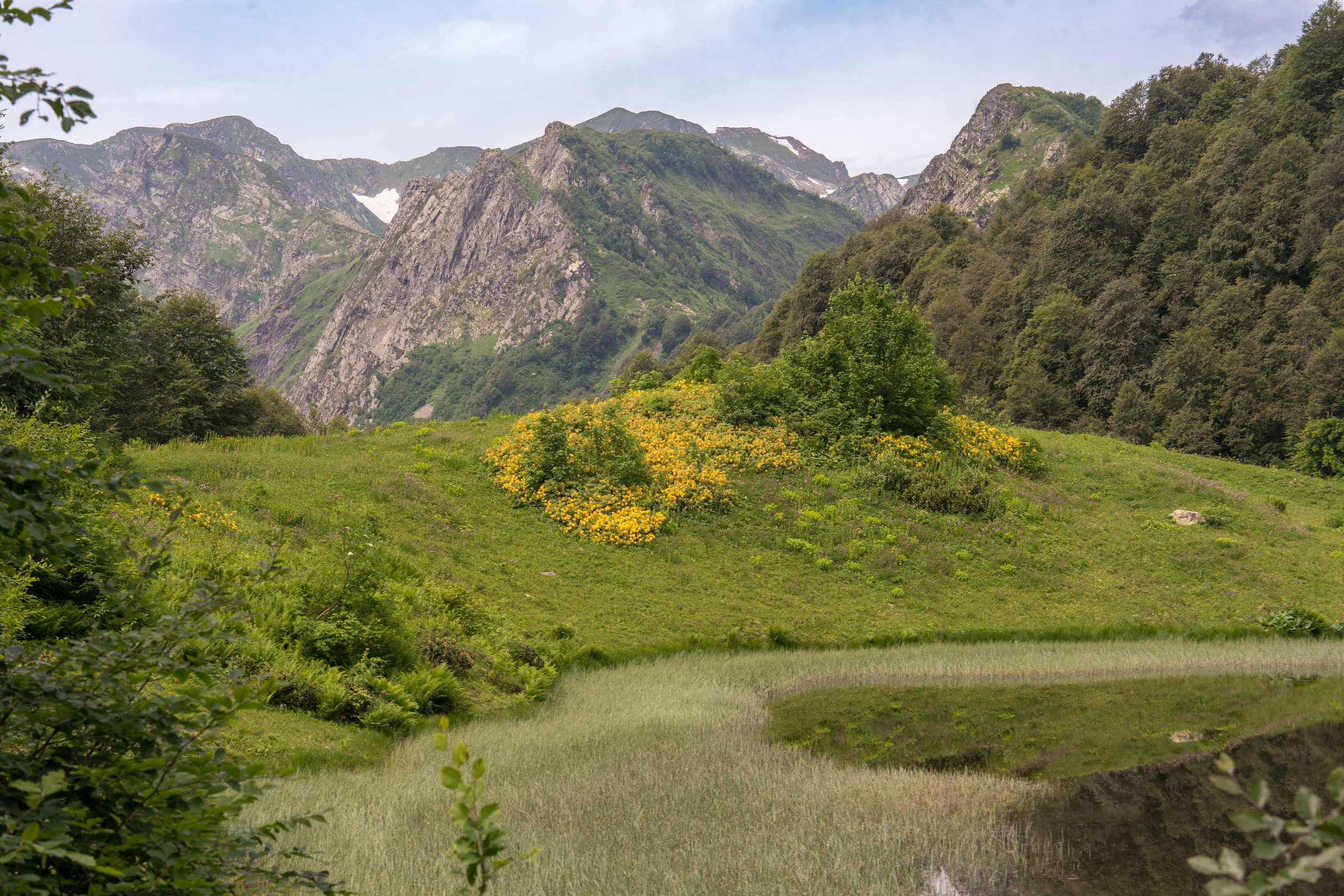 MICE мероприятие для компании «Доставка морем»: хайкинг к Ачипсинским водопадам. Репортажный фотограф в Красной Поляне и Сочи Павлюченко Екатерина
