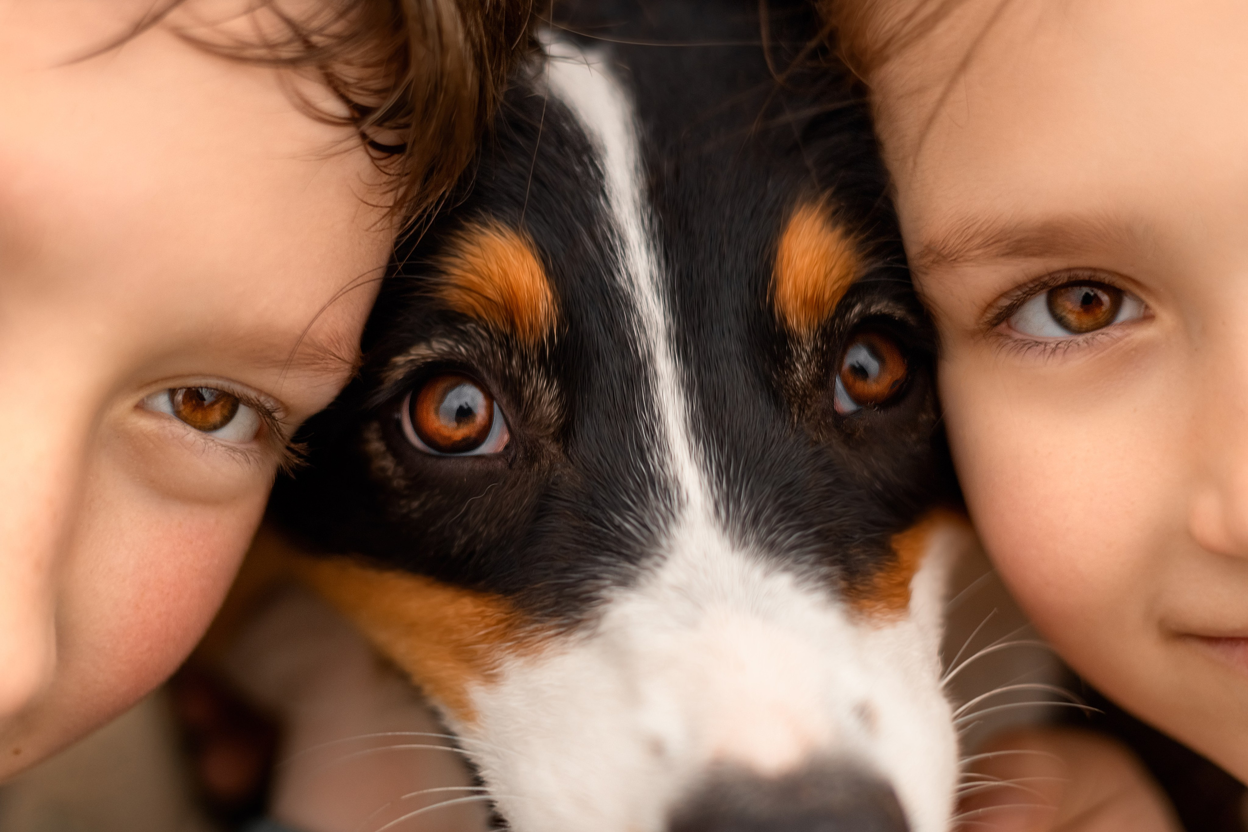 Семейные. Свадебный фотограф в Калининграде Филоненко Наталья