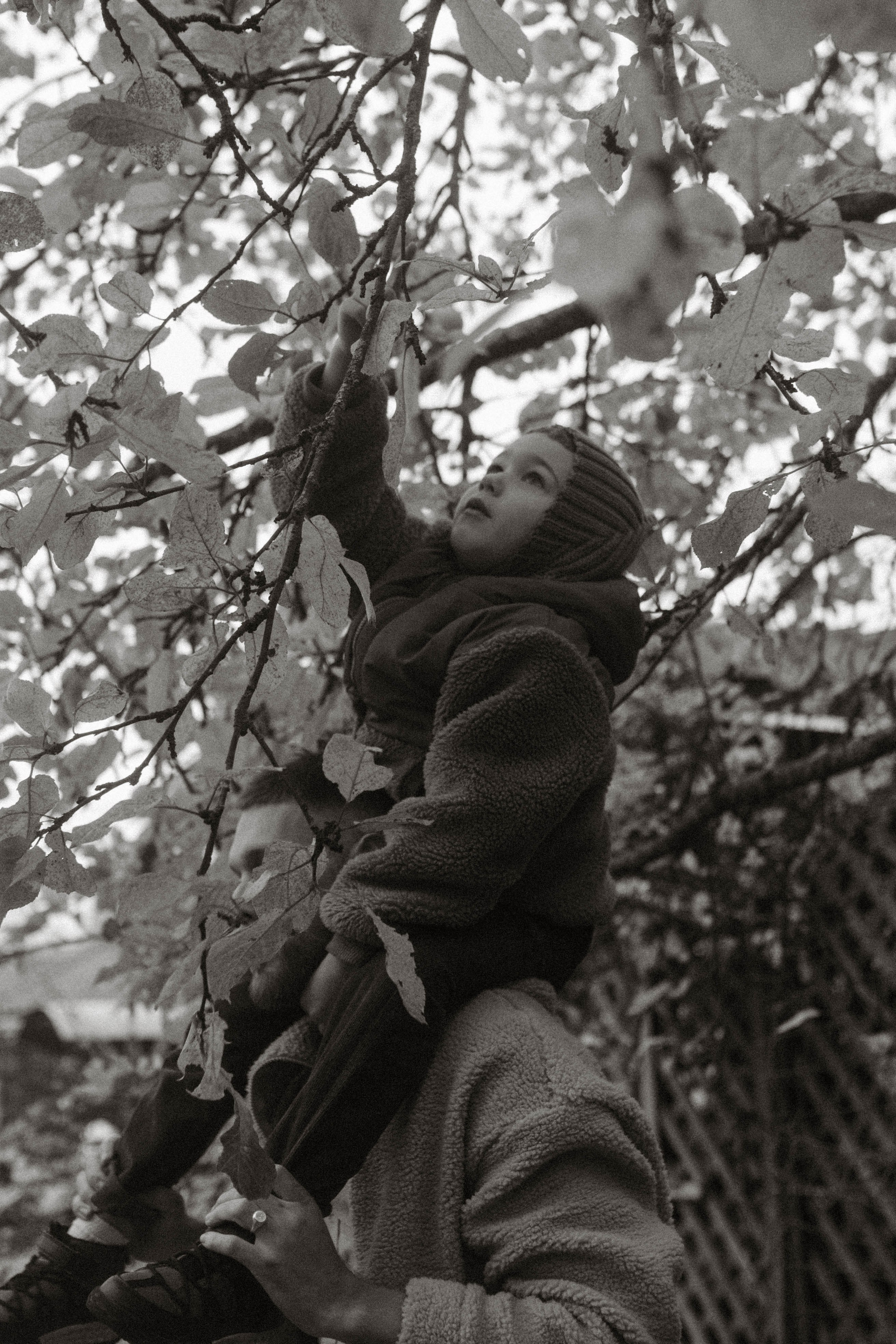 Карина, Миша, Оливер. Семейный фотограф Юлия Котова