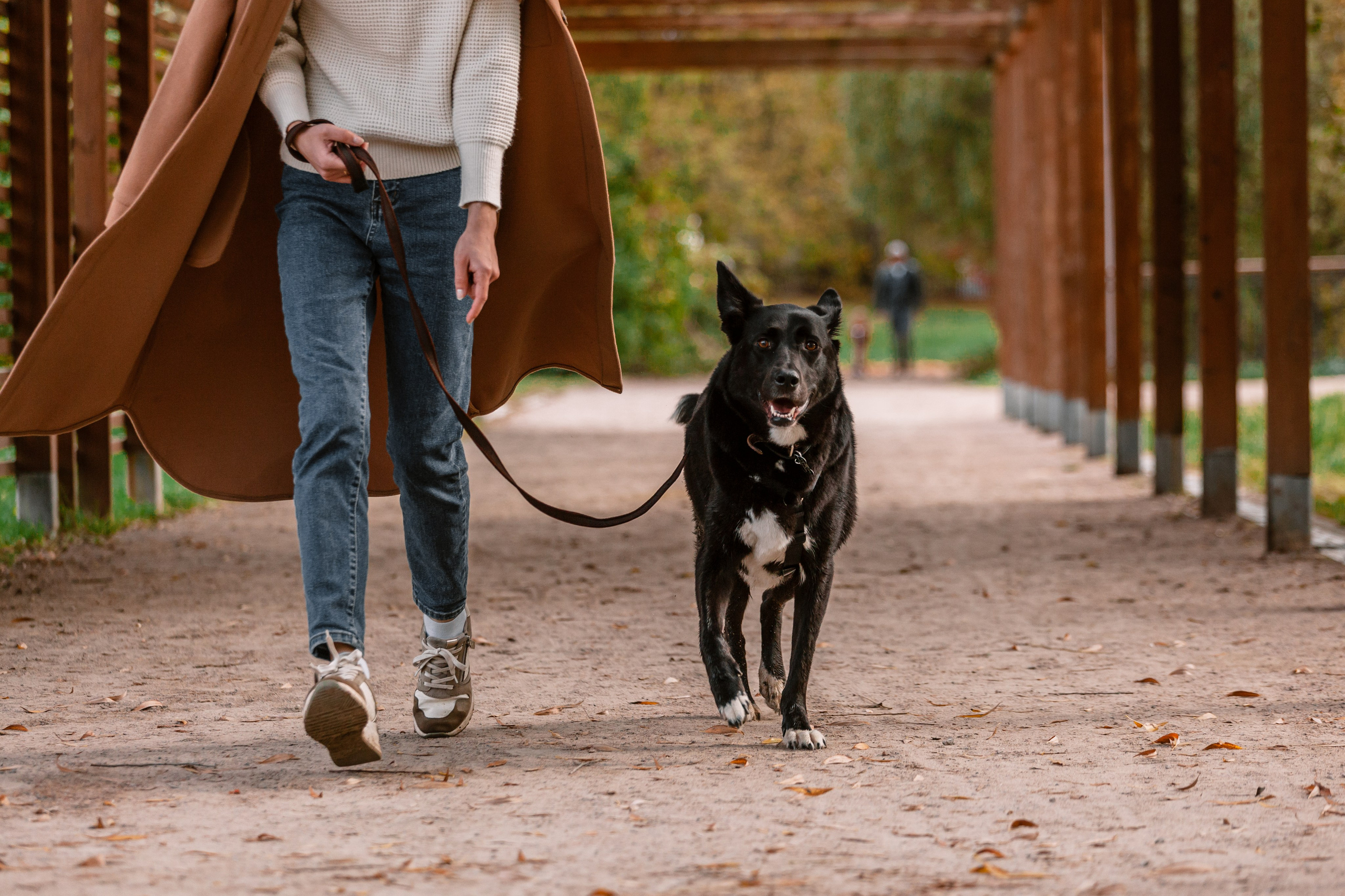 Юля и Фортуна. Фотограф-анималист Татьяна Степанова