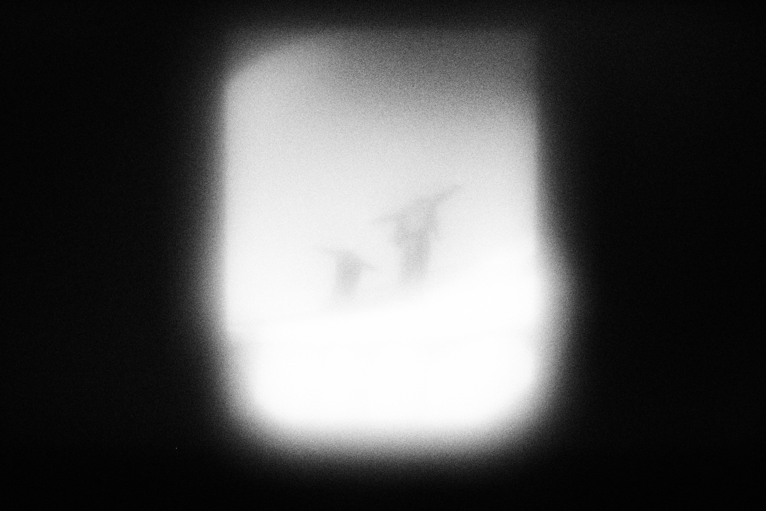 Маленькие искусства и я, Полина Шадрина