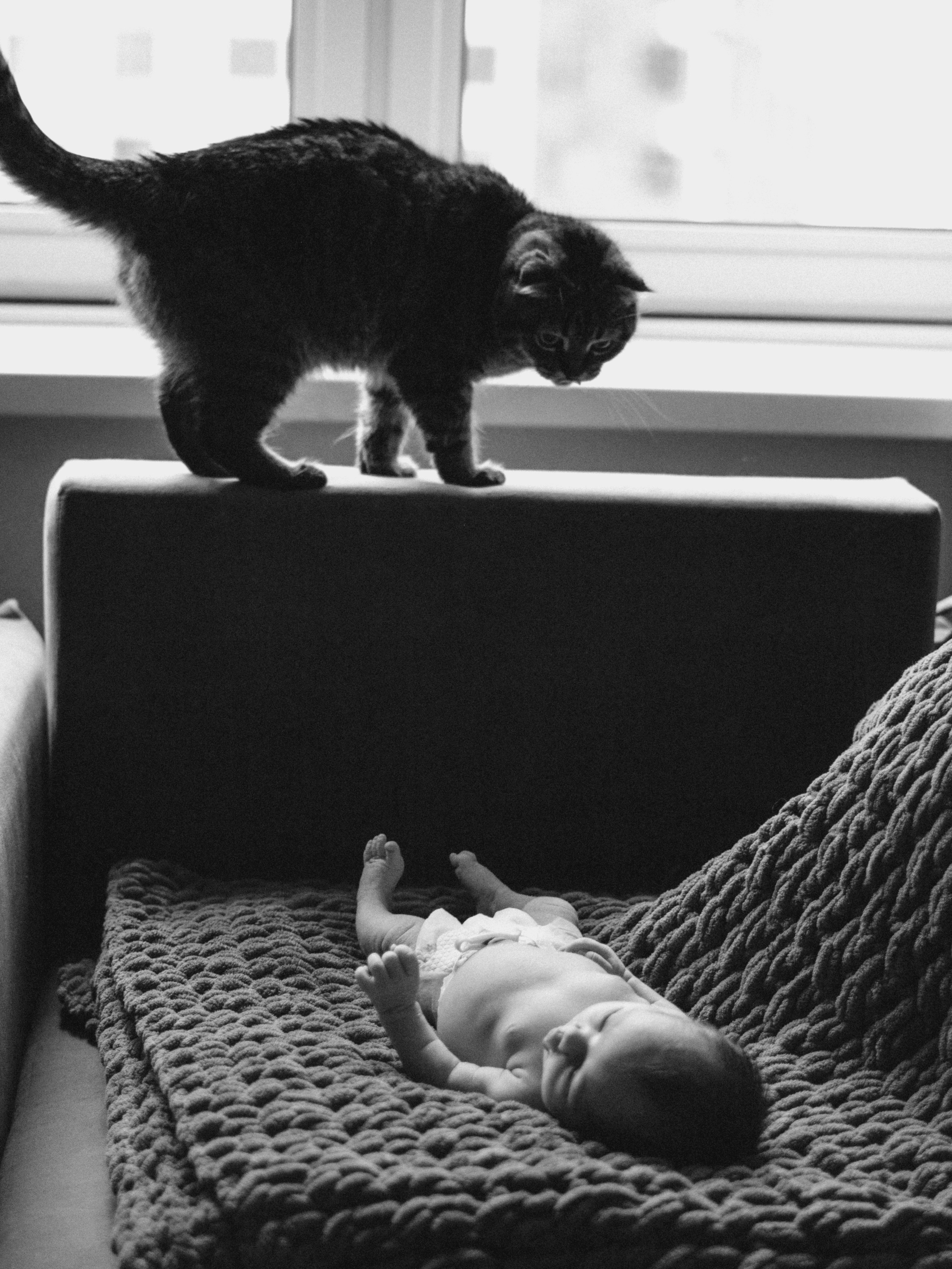 Катюша. SHILOVA PHOTO. Шилова Екатерина. Фотограф. Москва