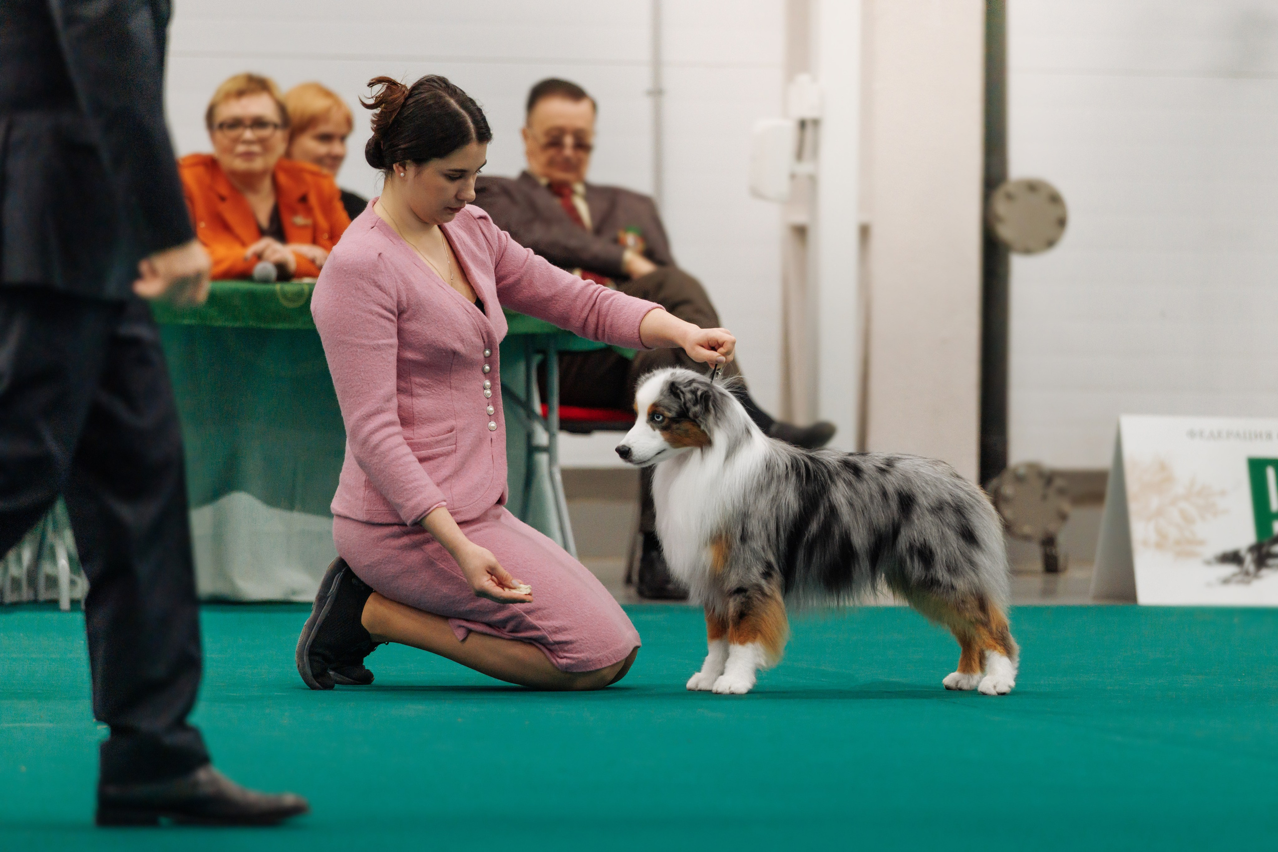 29-30.11.2025 — Казань «Зилант». Фотограф-анималист Саша Вязьмина