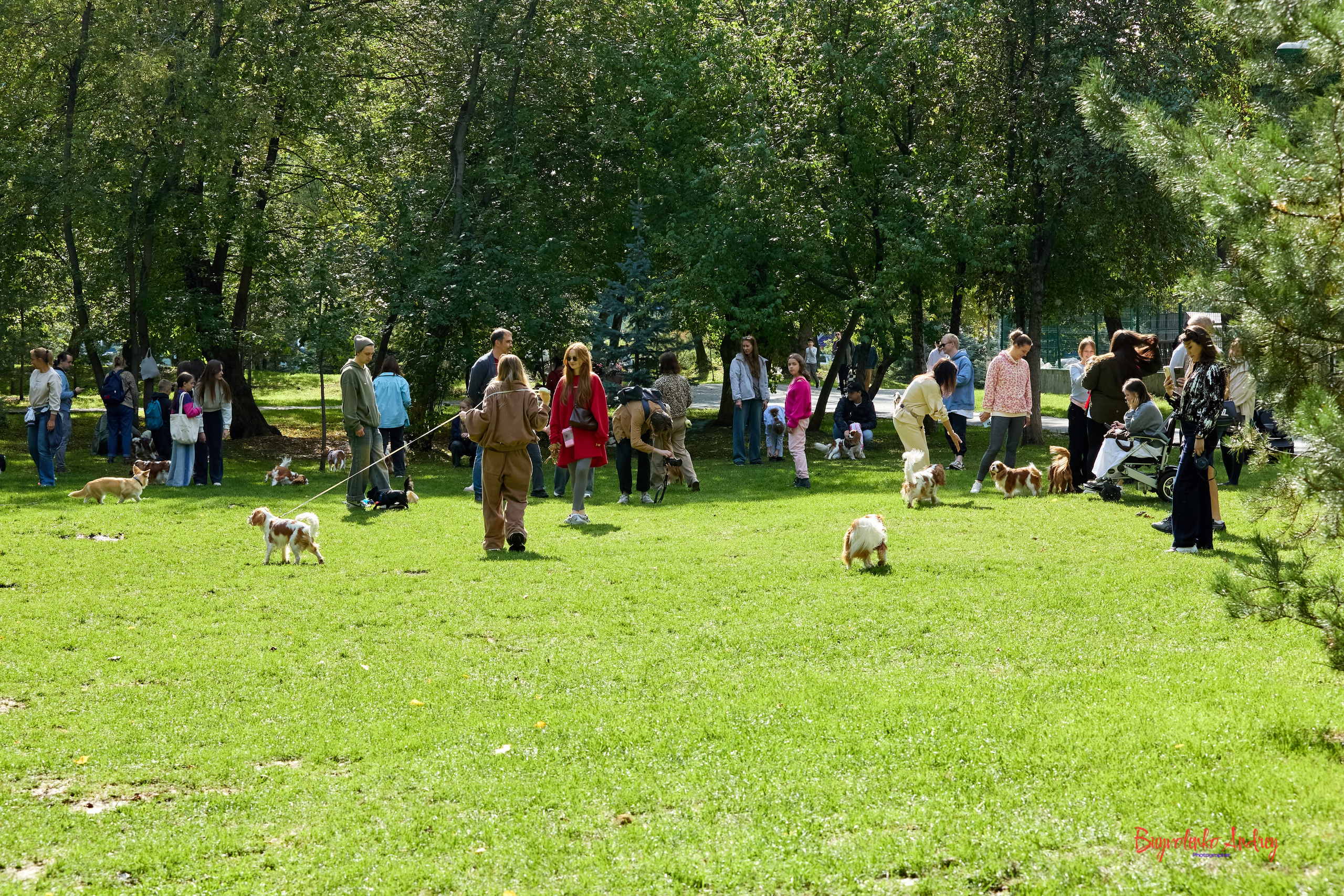 Фотопрогулка с кавалерами. Buyvolenko Andrey