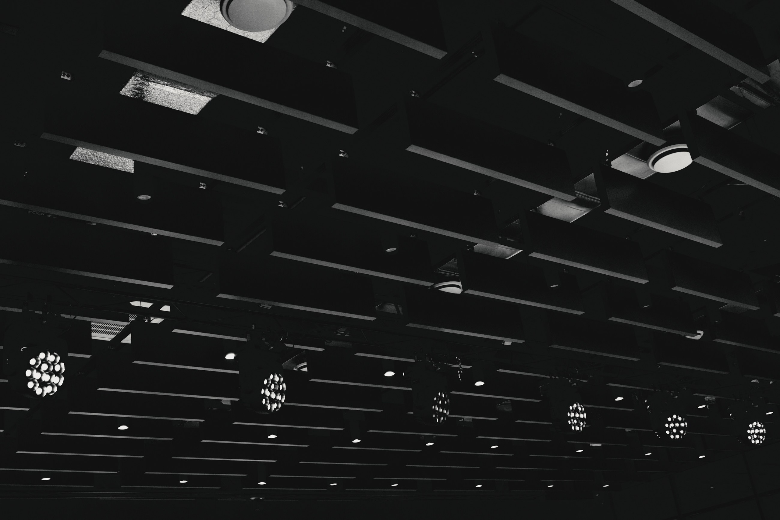 Мой стартап. LEVORIGINAL