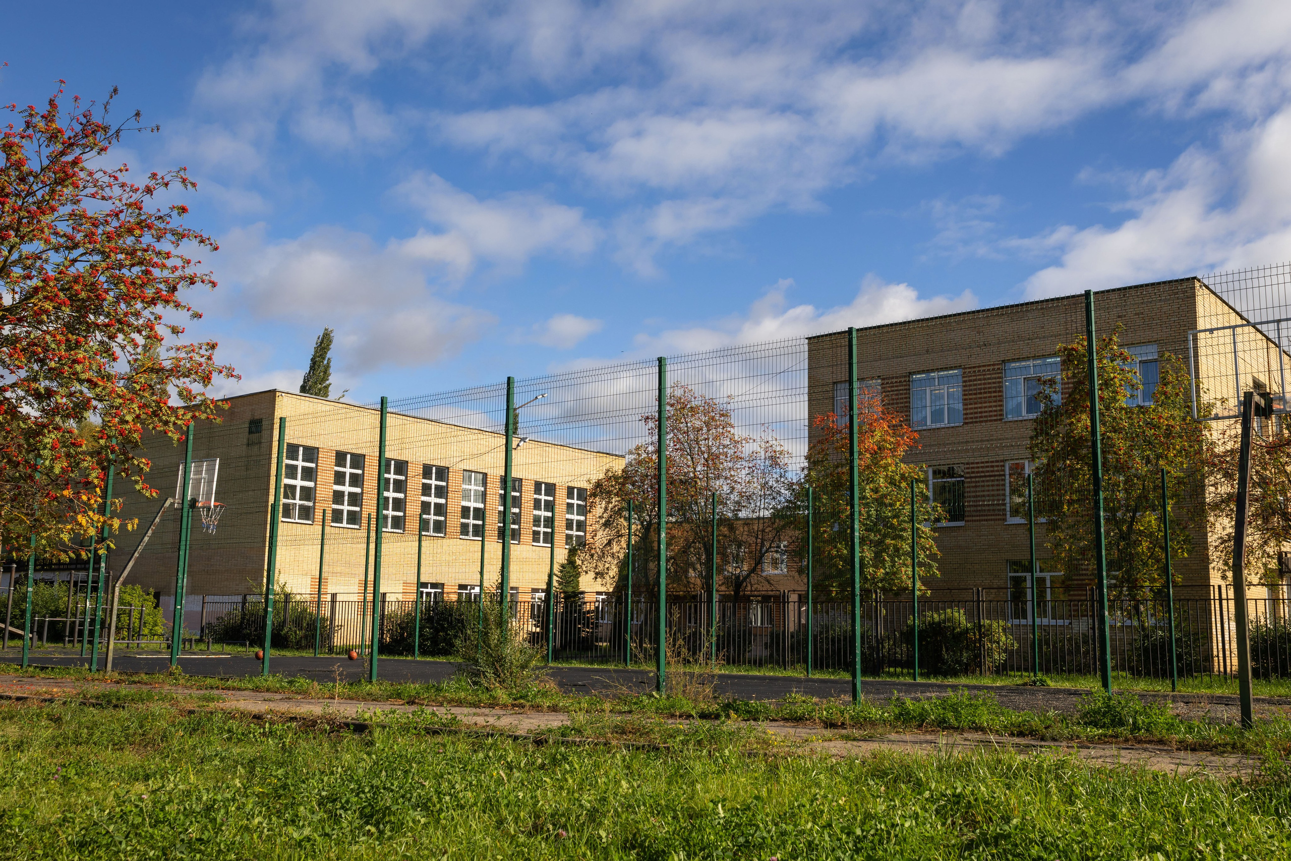 Съемка у школы. Семейный и детский фотограф Анна Петракова