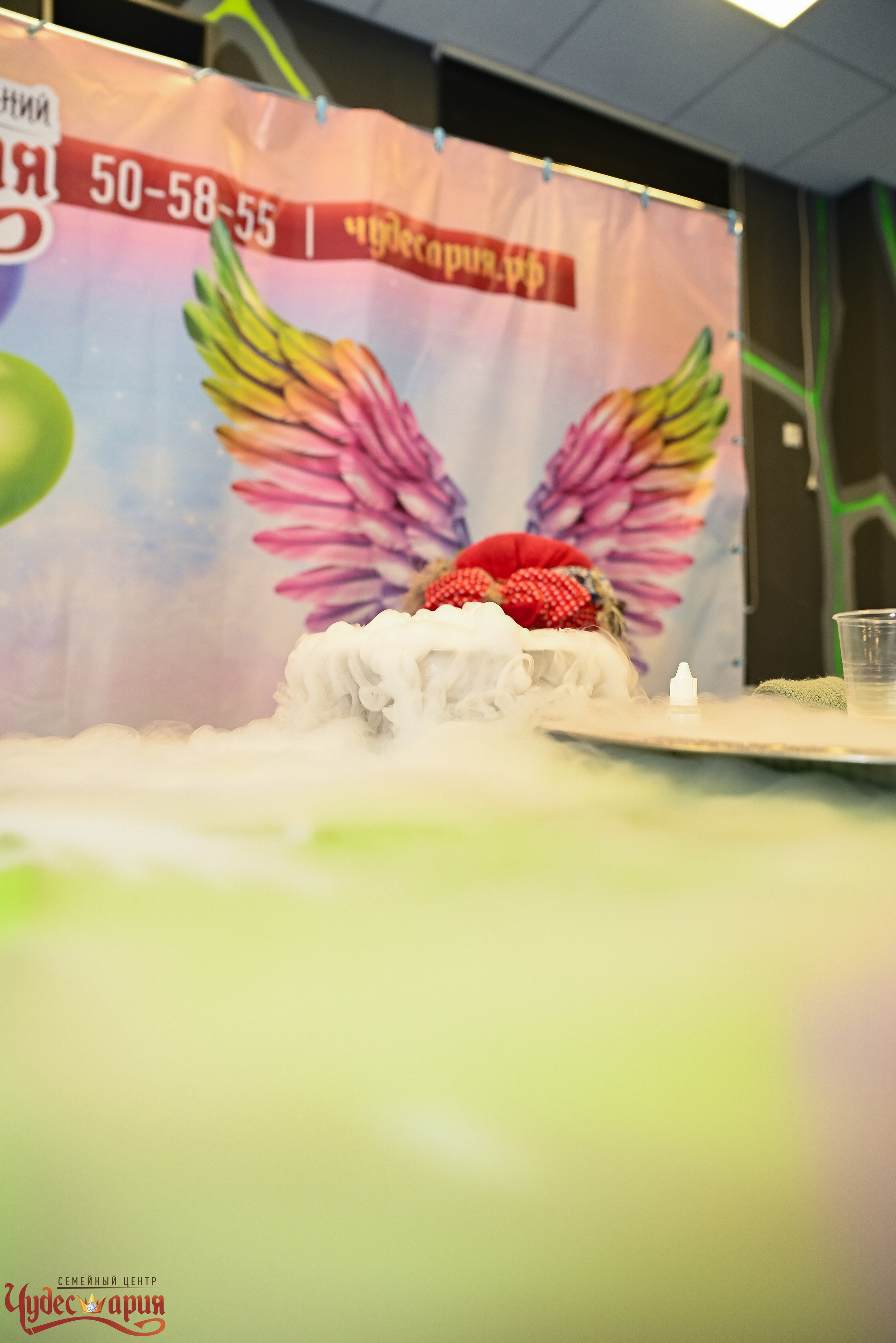 Детский праздник. Портретный и семейный фотограф в Брянске Журавкова Юлия