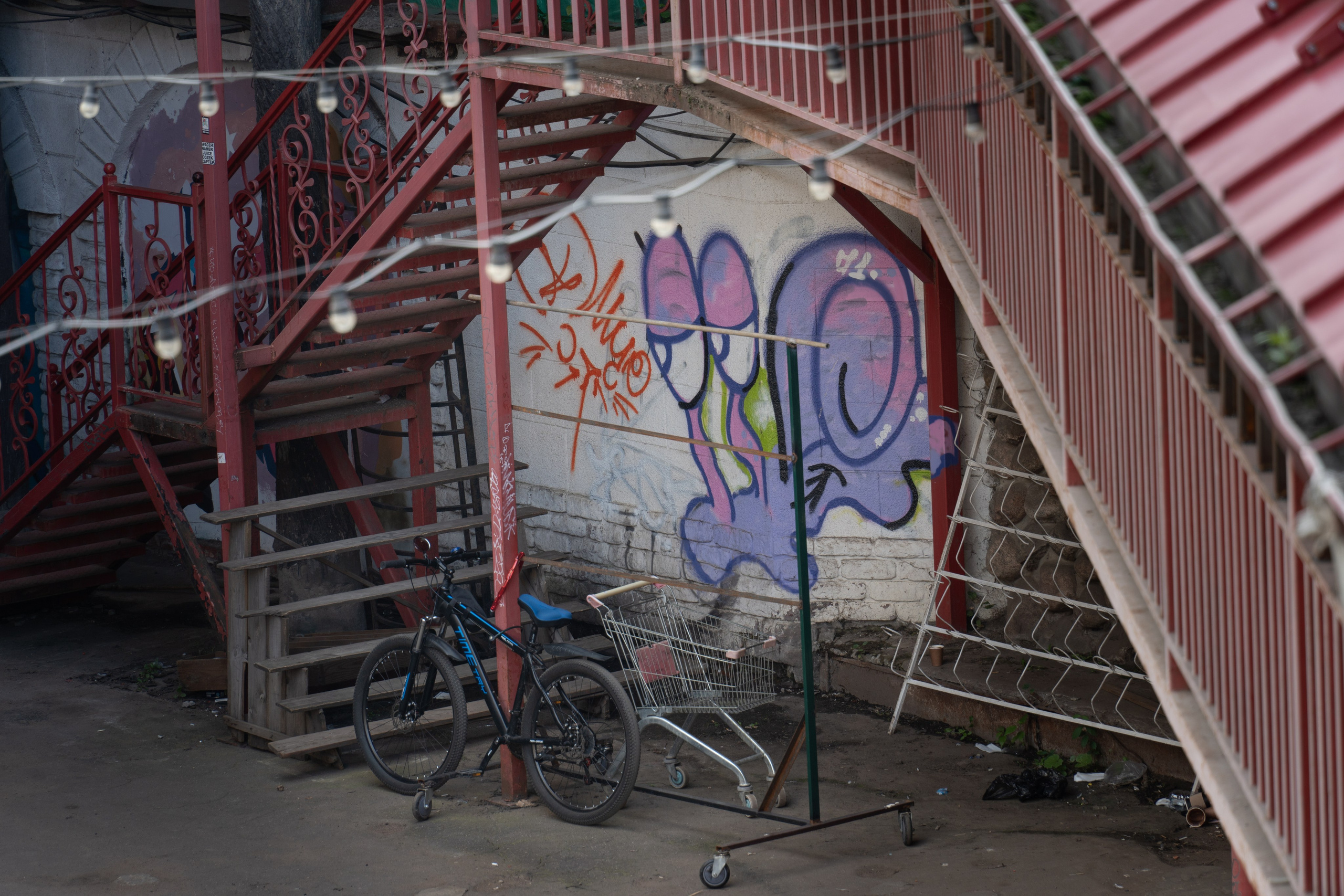 20250817 Измайлово. Дмитрий Ремизов. Фотография, как хобби