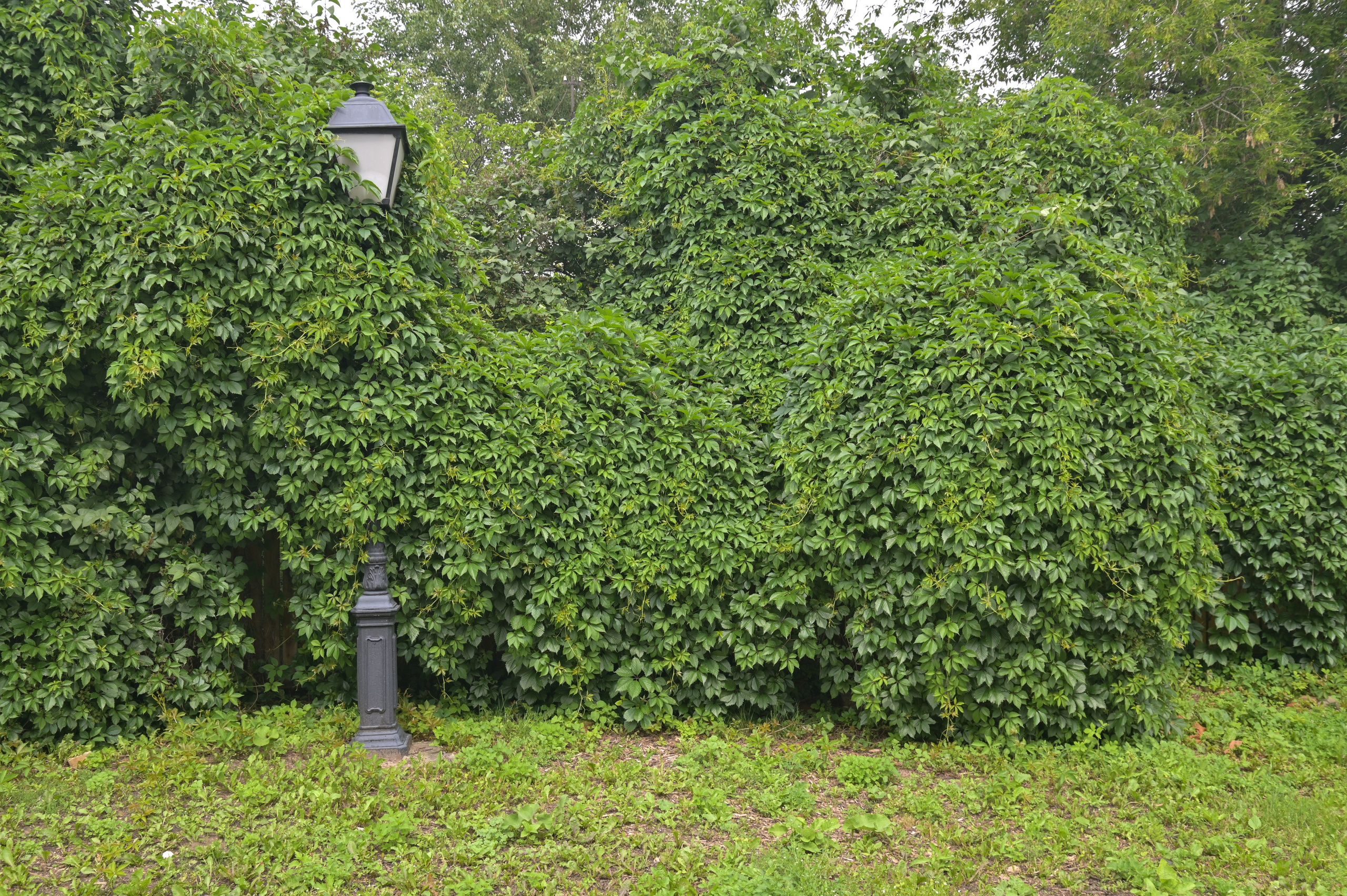 20240616 Крутицкое подворье. Дмитрий Ремизов. Фотография, как хобби