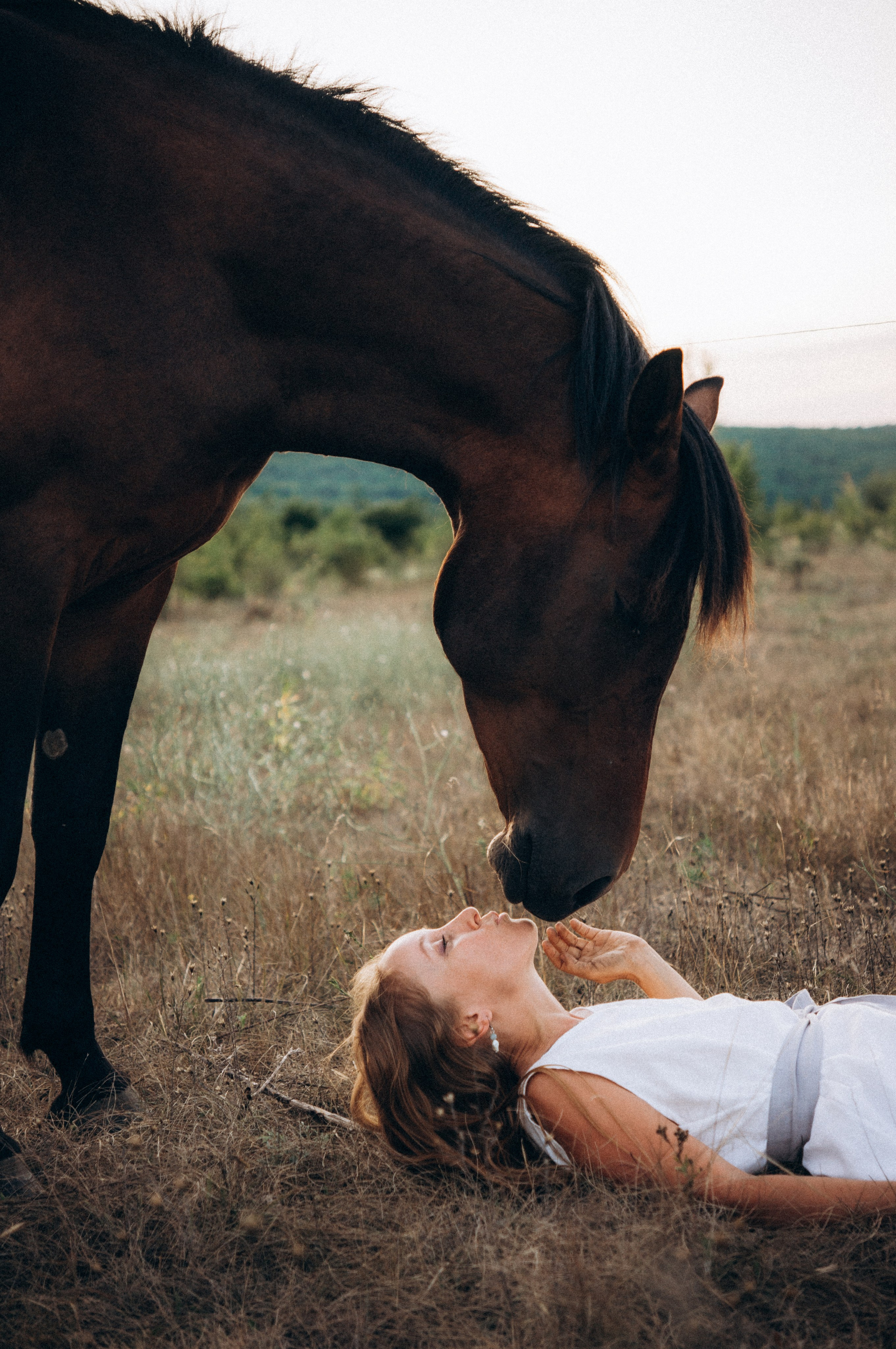 Проект свободных лошадей. Обо мне