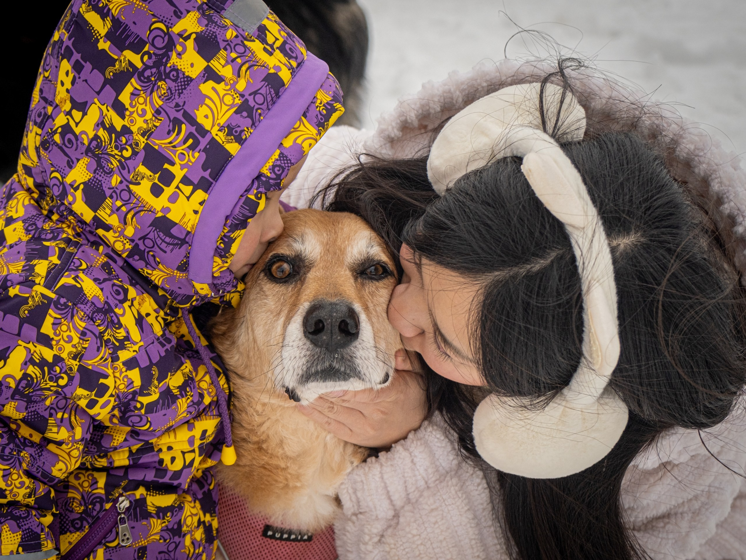 Прекрасная семья Кирилла и Лилии!. Зоофотограф, фотограф животных в Москве и области Дина Дамоцева