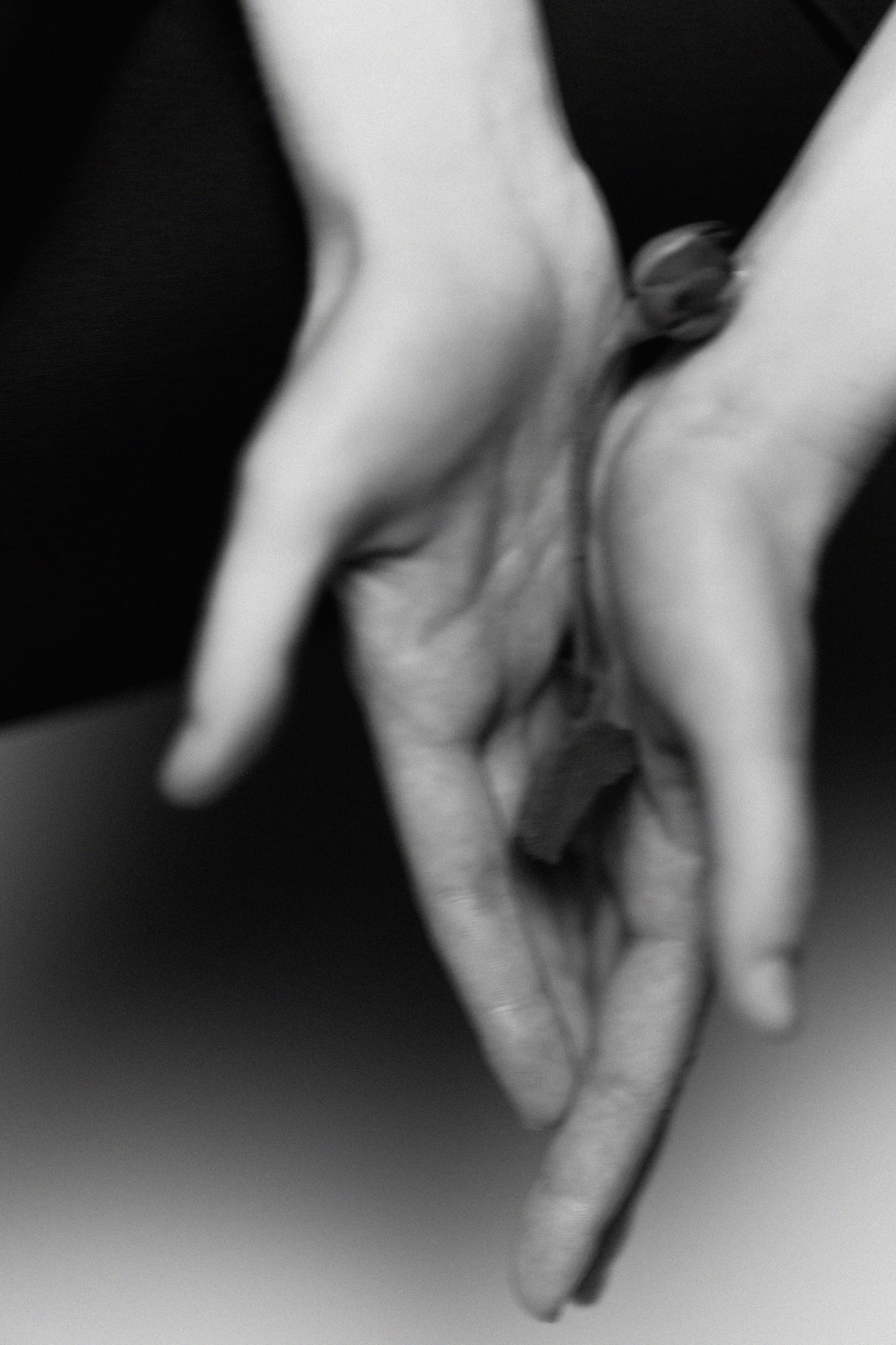 ◦ Алина ◦. Главная