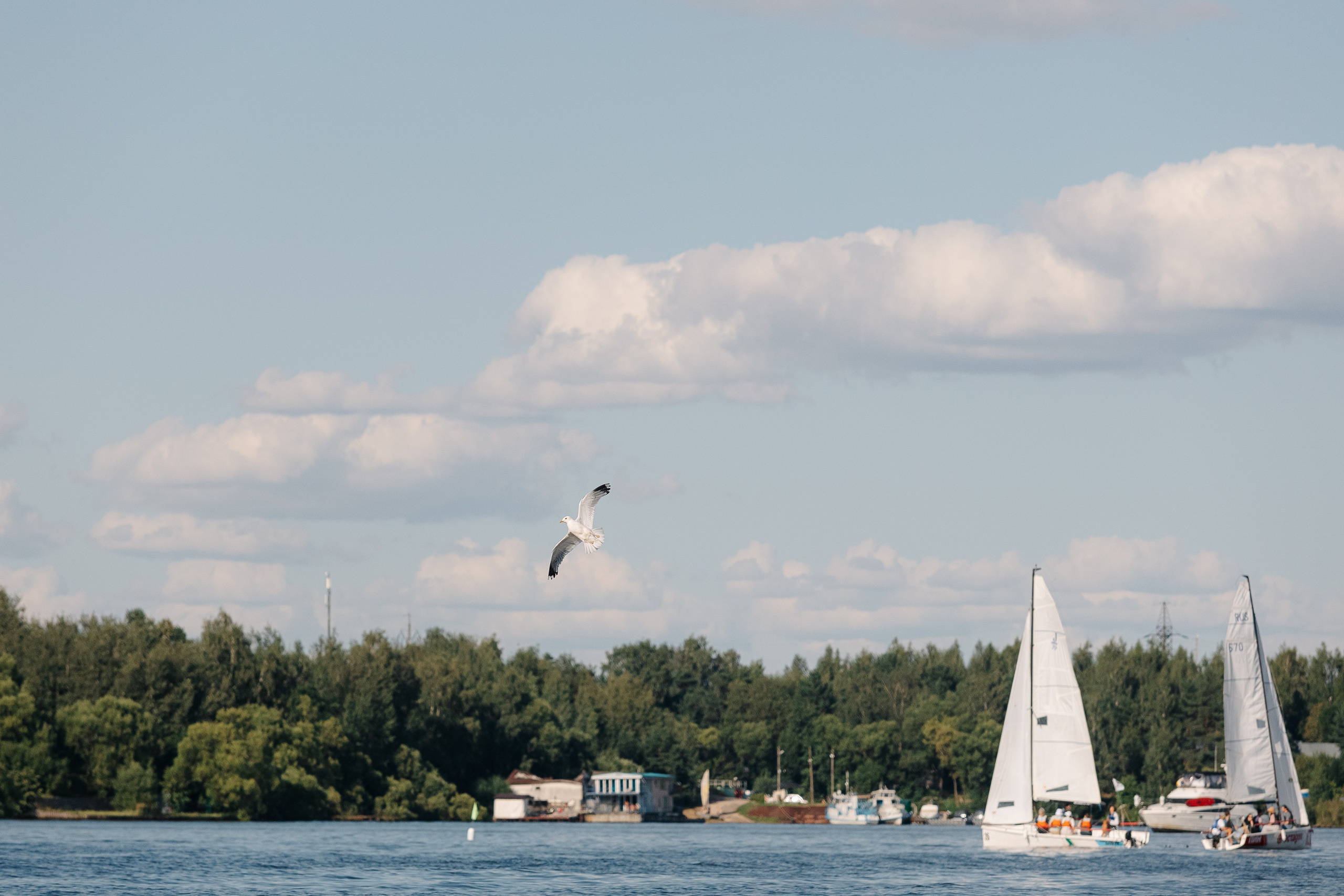 Тимбилдинг Яндекс. Свадебный фотограф Москва Саша Серегина (Сашина)