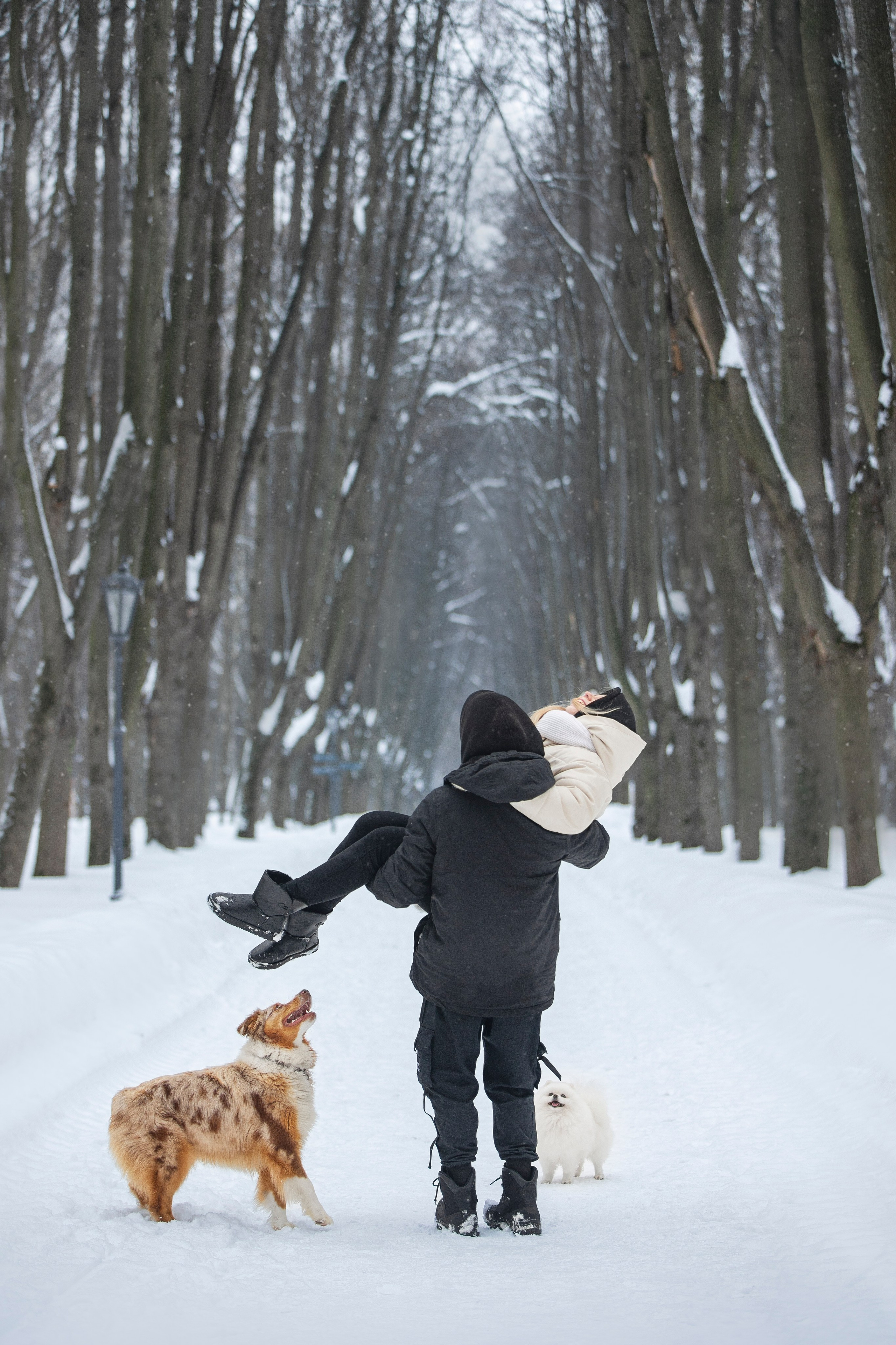 Настя, Игорь, Тесс и Марс. Фотограф анималист в Москве Майорова Евгения