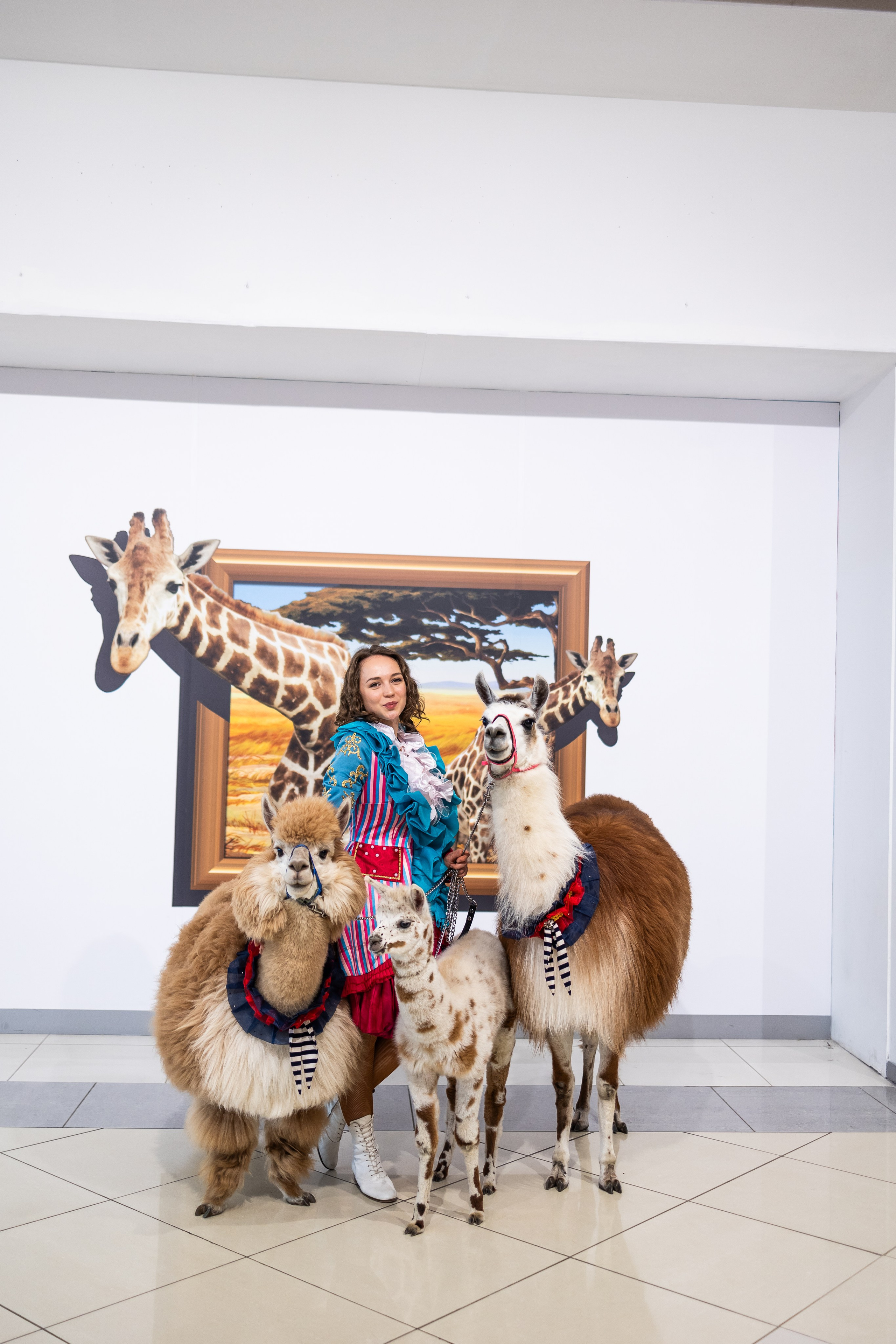 Торговый центр XL, праздник, выходные в ХЛ. Фото и видео Москва, Московский. Свадебный фотограф, видеограф, фотосессии, видеосъемка