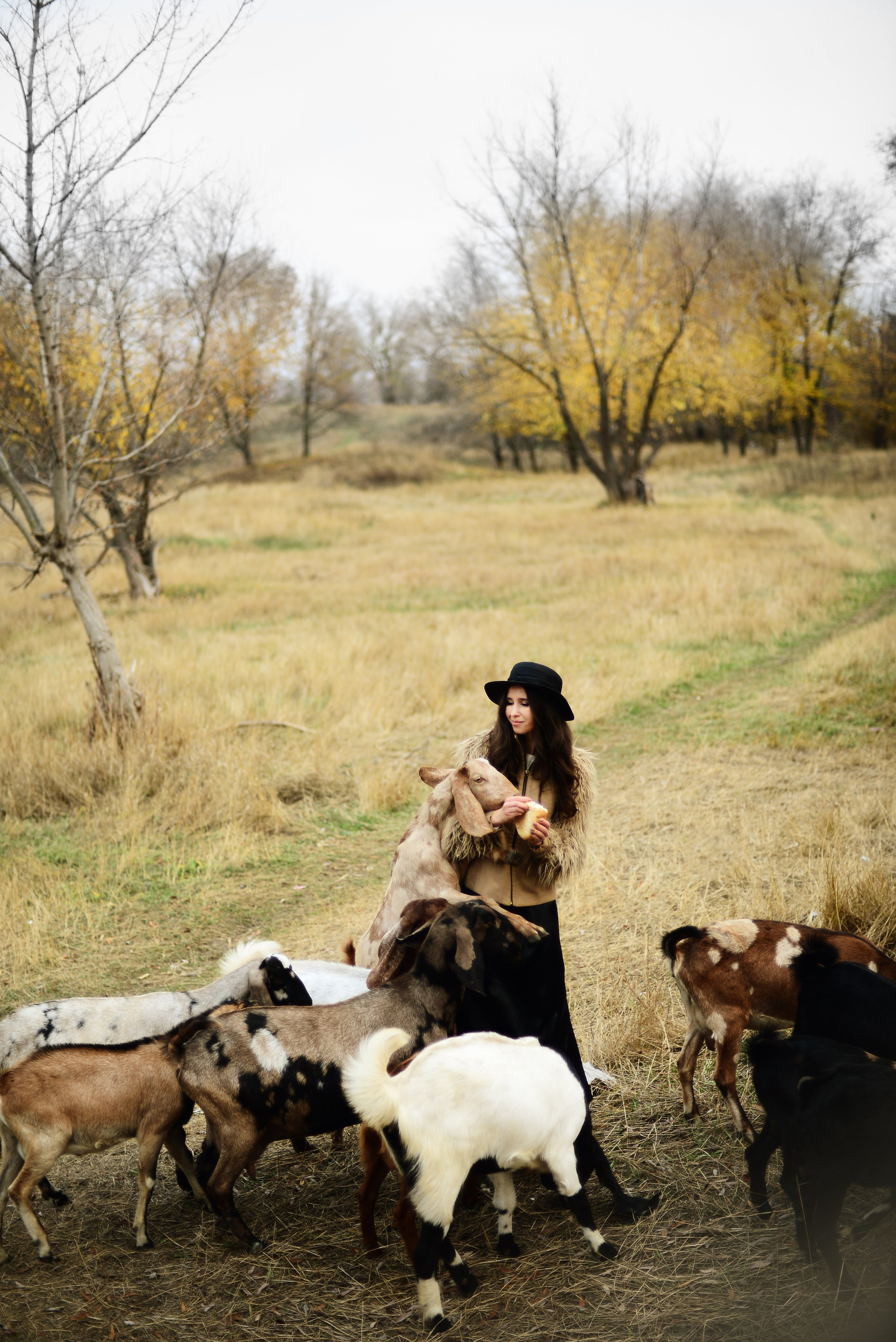 Маша и козочки. Кристина Зуенкова. Фотограф в Луганске