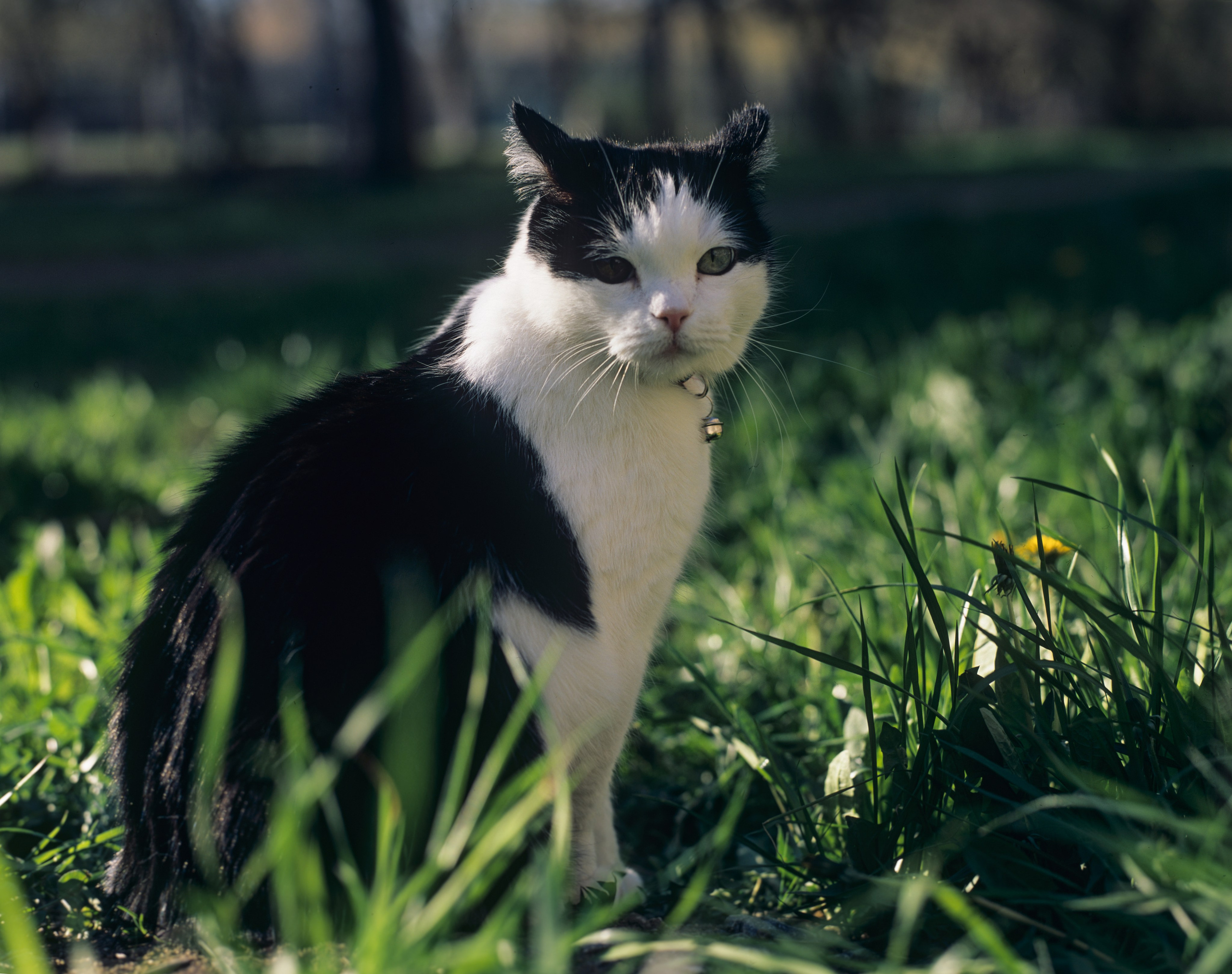 Василий. Фотограф в Санкт-Петербурге Березовский Даниил