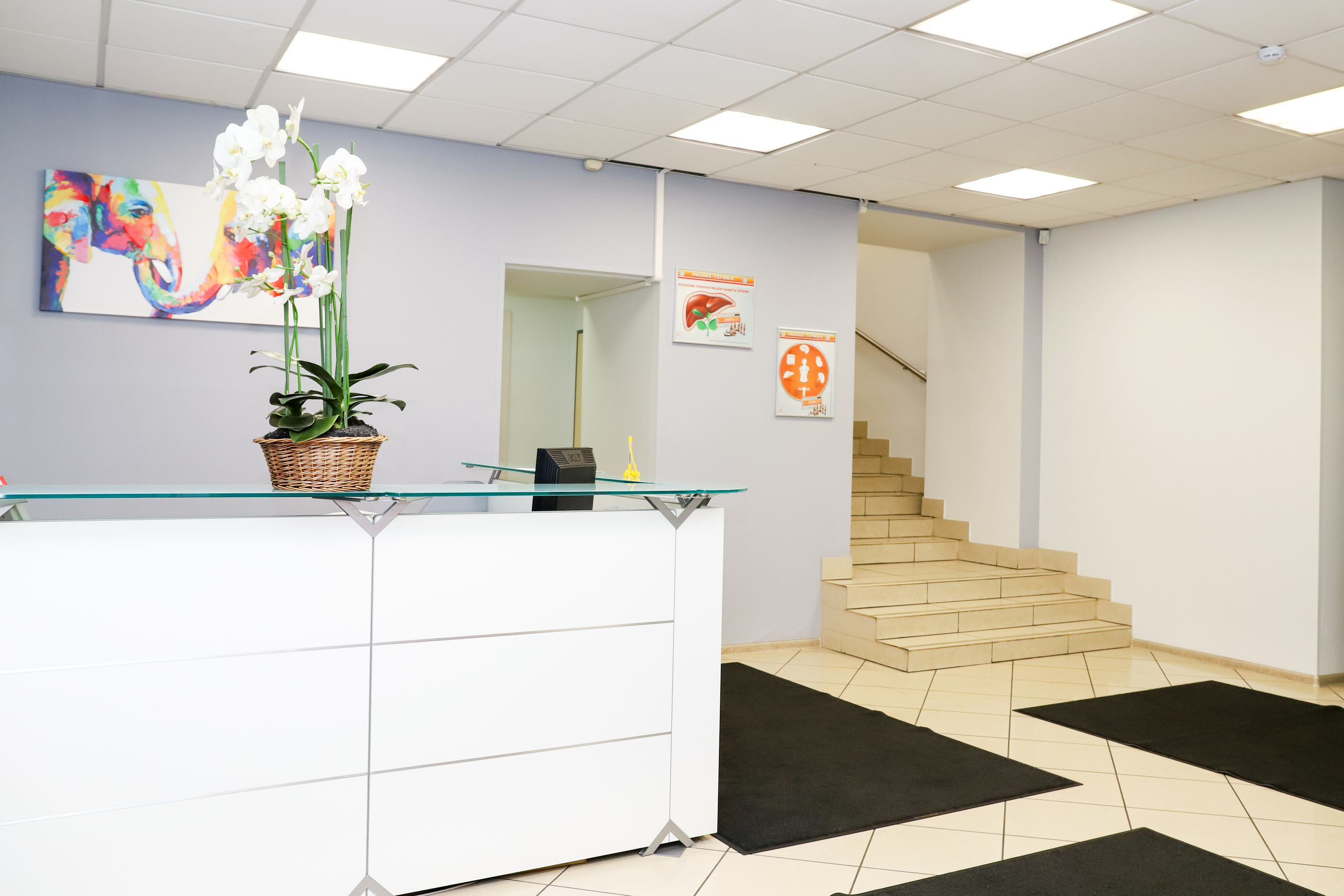 Медицинский центр «НС Клиник». Фотограф в Санкт-Петербурге Наталья Брилькова