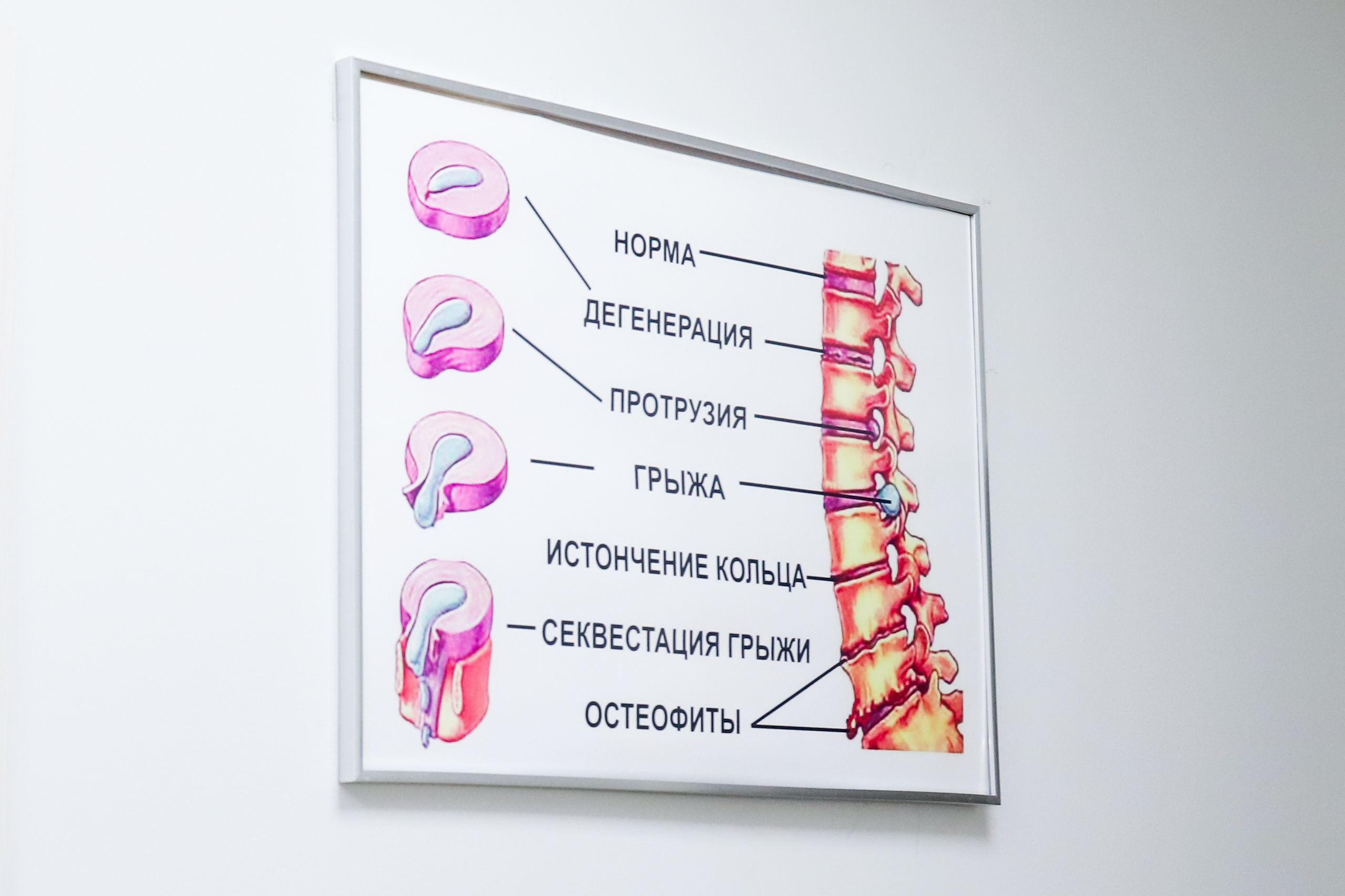 Медицинский центр «НС Клиник». Фотограф в Санкт-Петербурге Наталья Брилькова